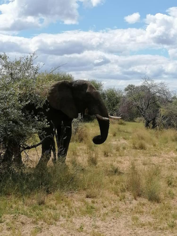 ASKIESBOS - Samochima Bush Camp