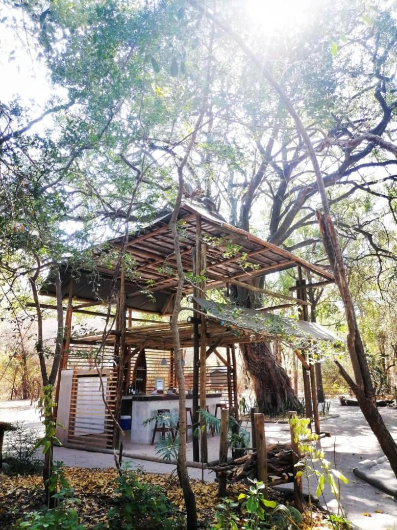 ASKIESBOS - Samochima Bush Camp