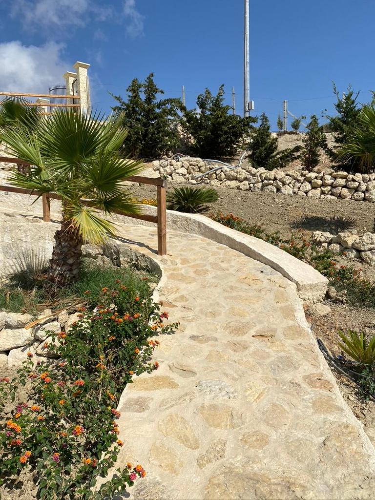 Photo 43