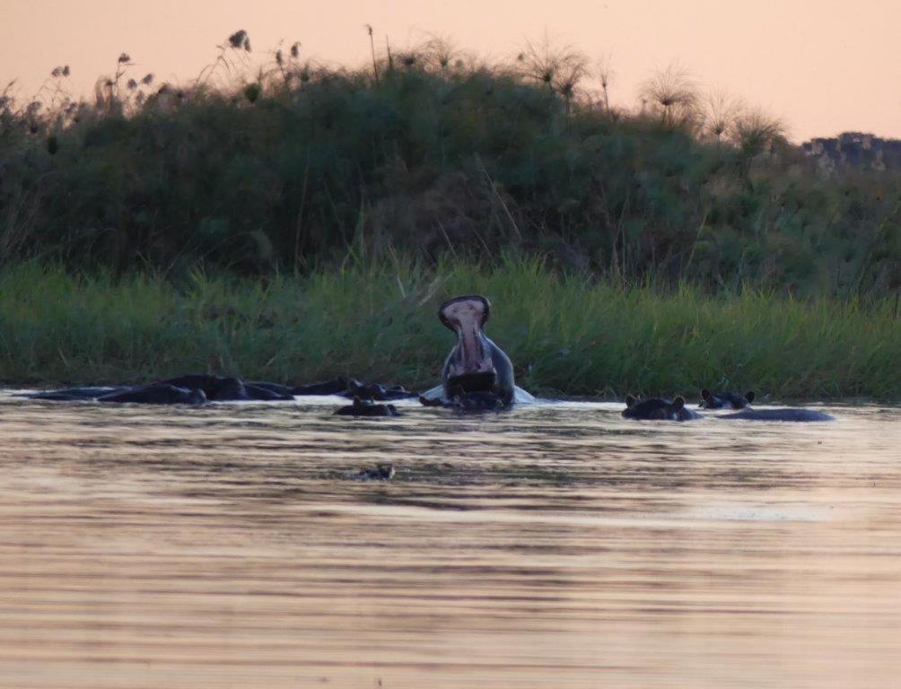 ASKIESBOS - Samochima Bush Camp