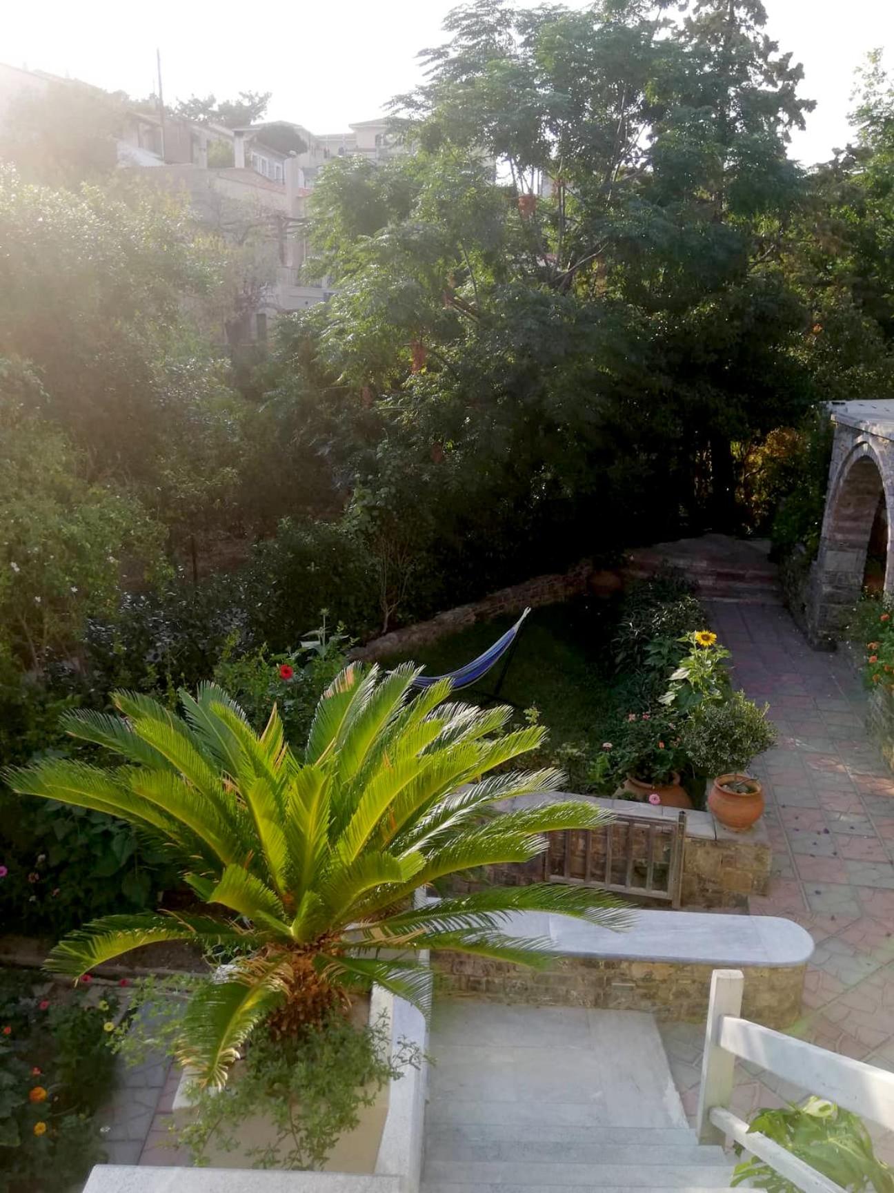 Photo 197