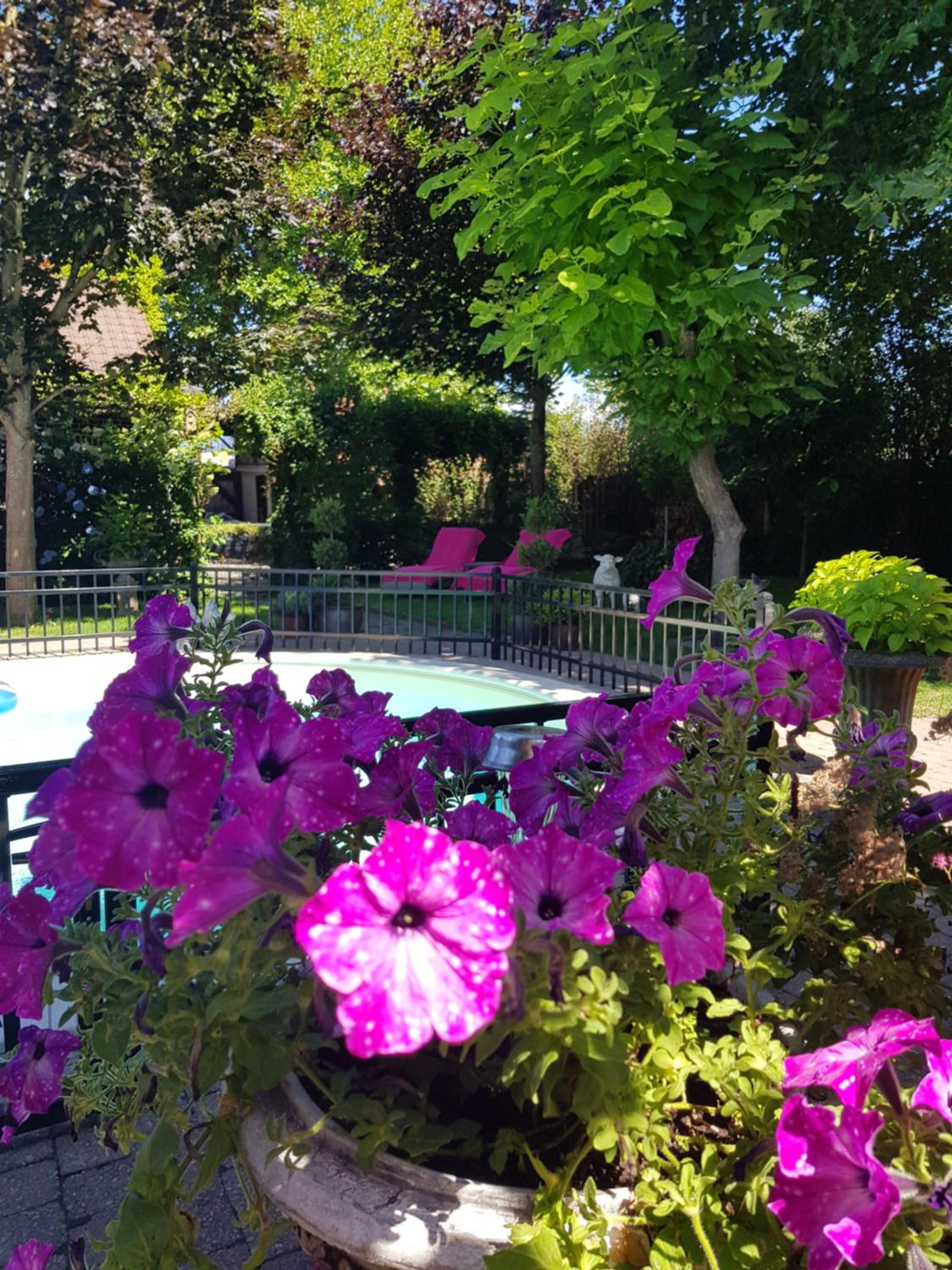 B&B Le Jardin