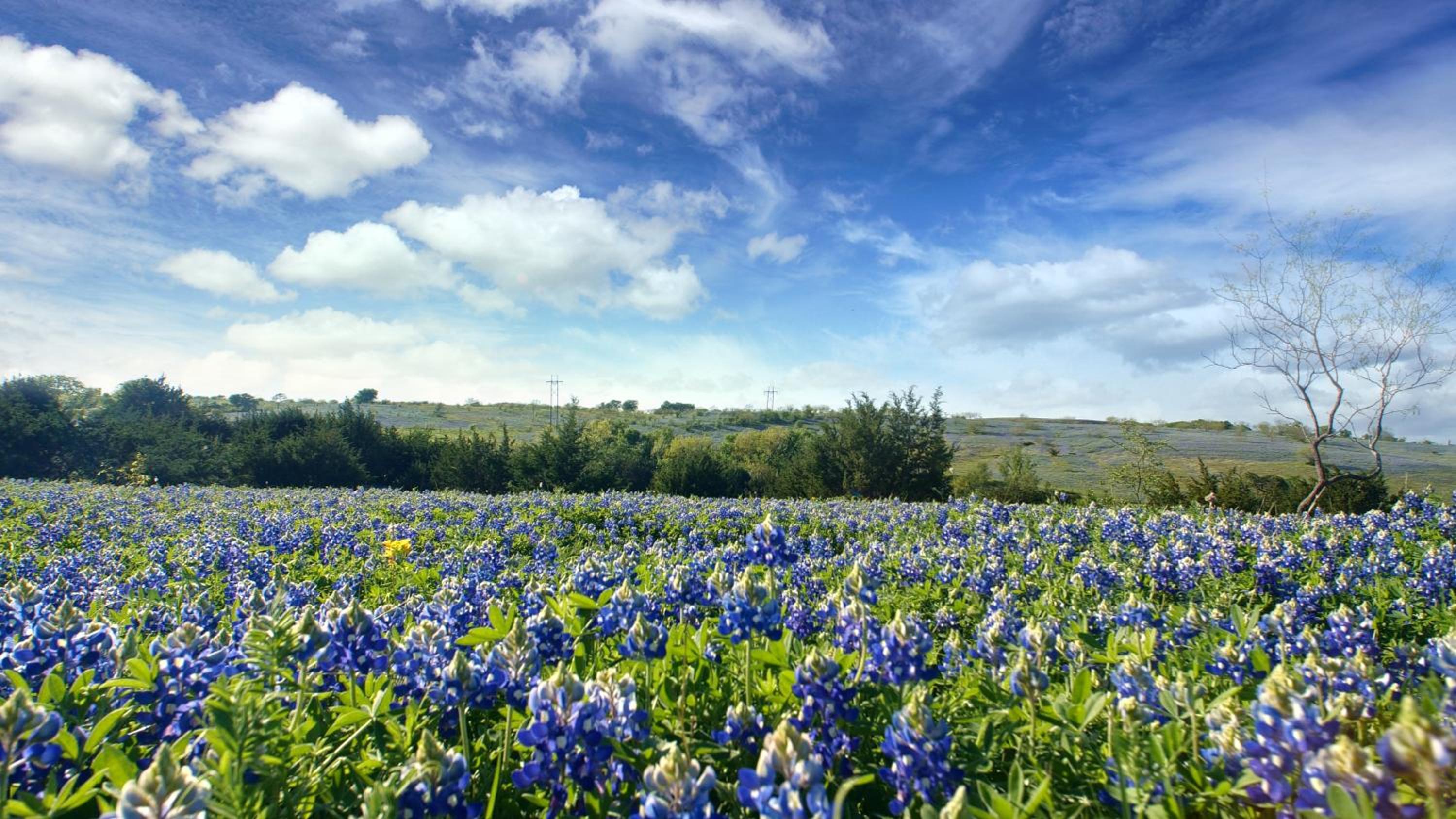Blue Hills Ranch view 3