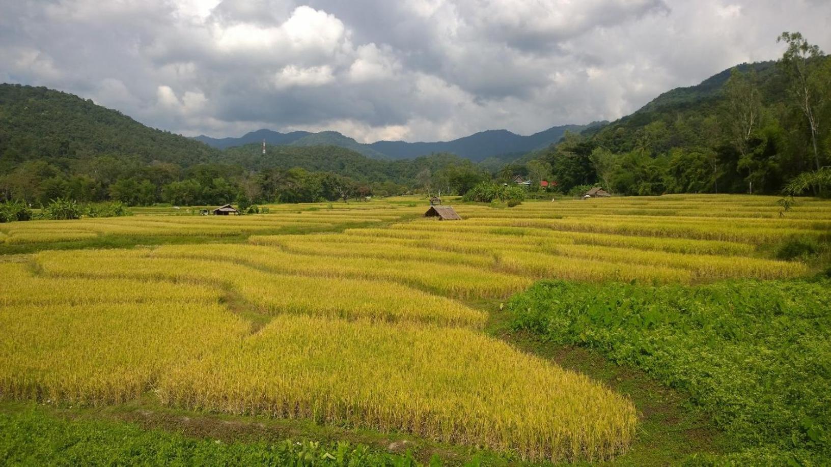 Bulunburi Resort
