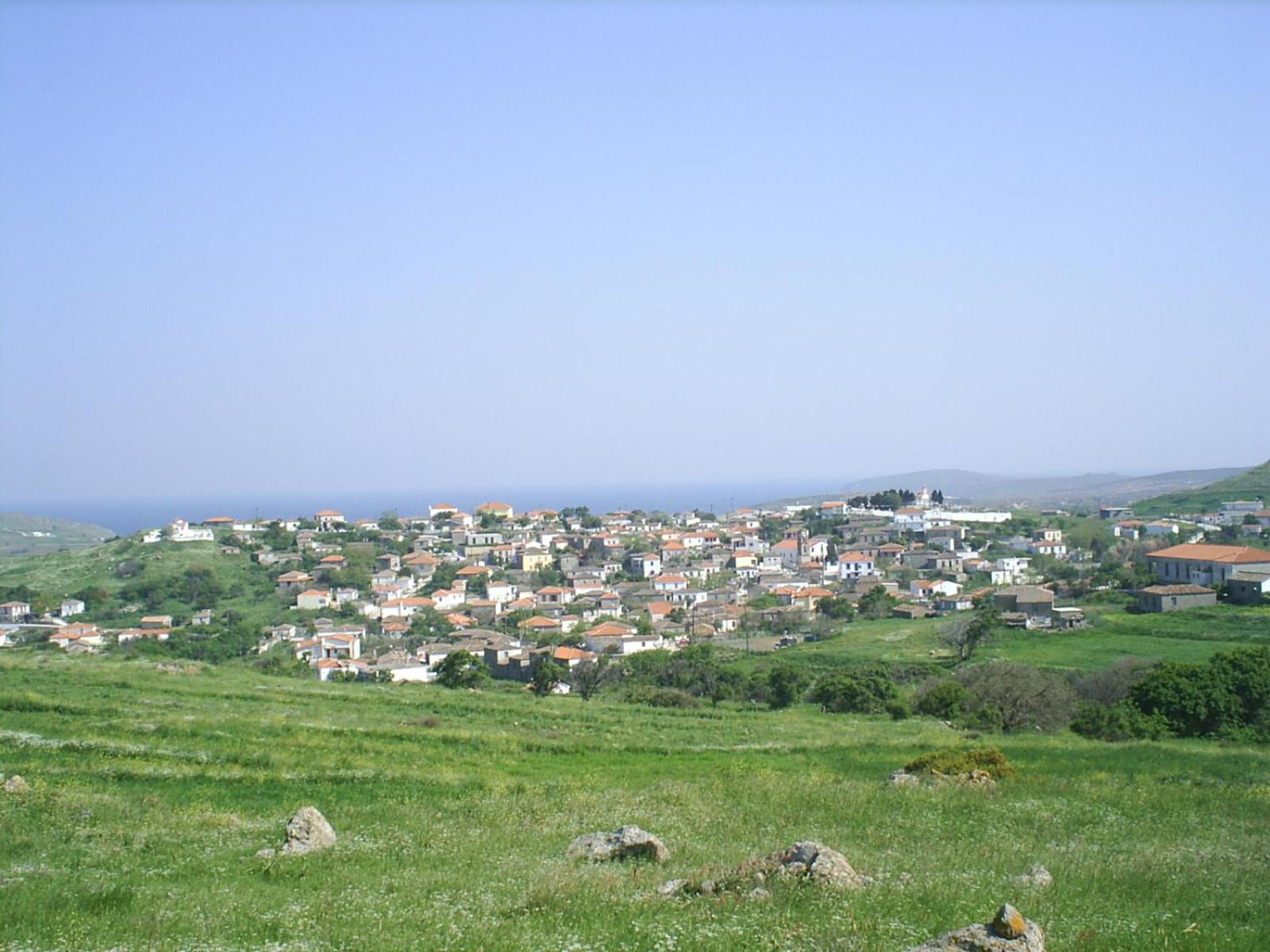 Photo 24