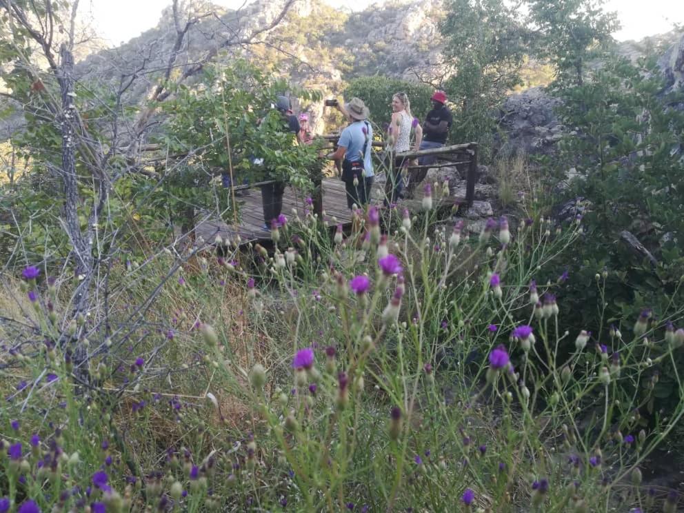 ASKIESBOS - Samochima Bush Camp
