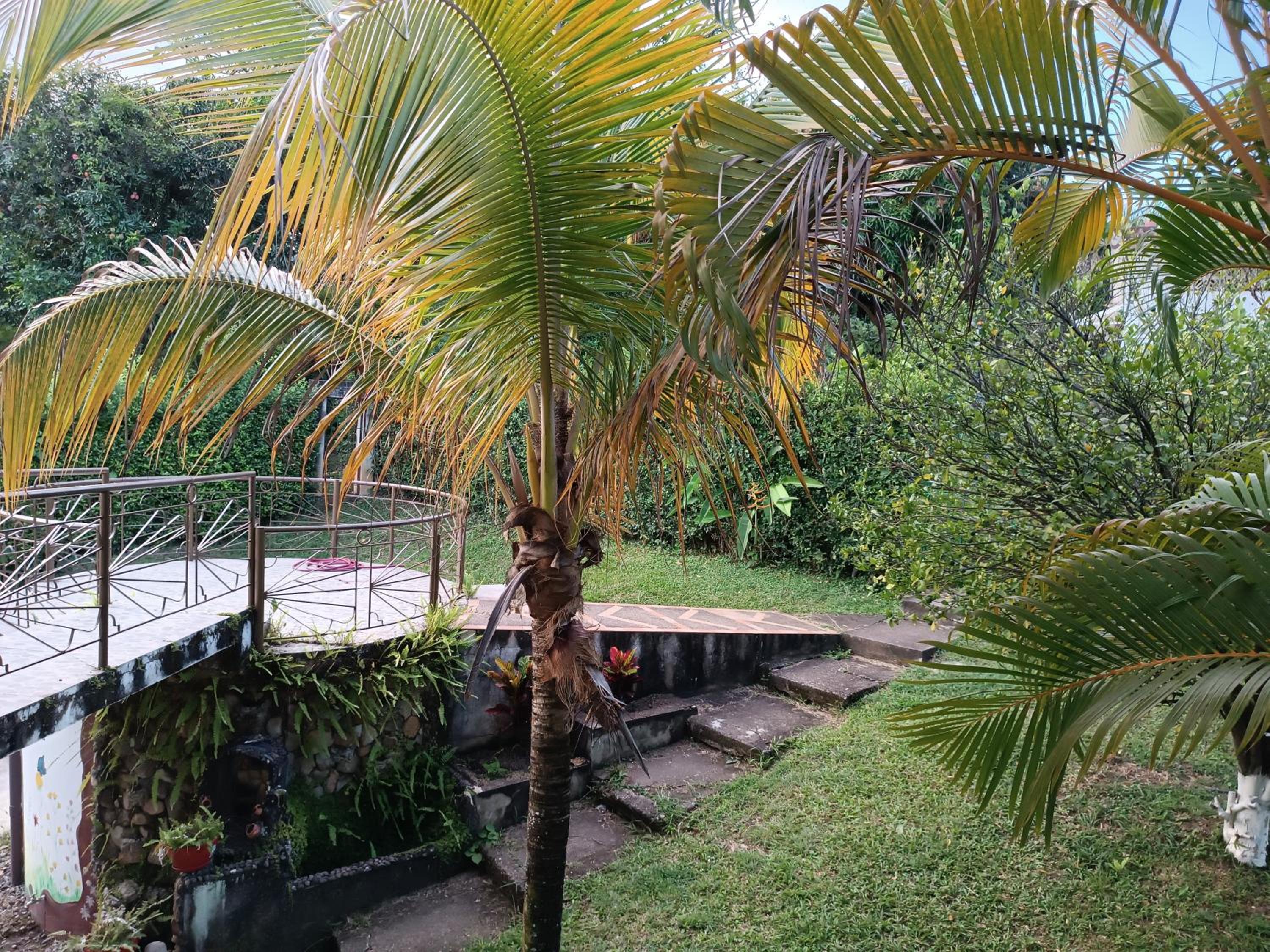 Finca Bello Terruño, Anapoima, Descanso, Naturaleza