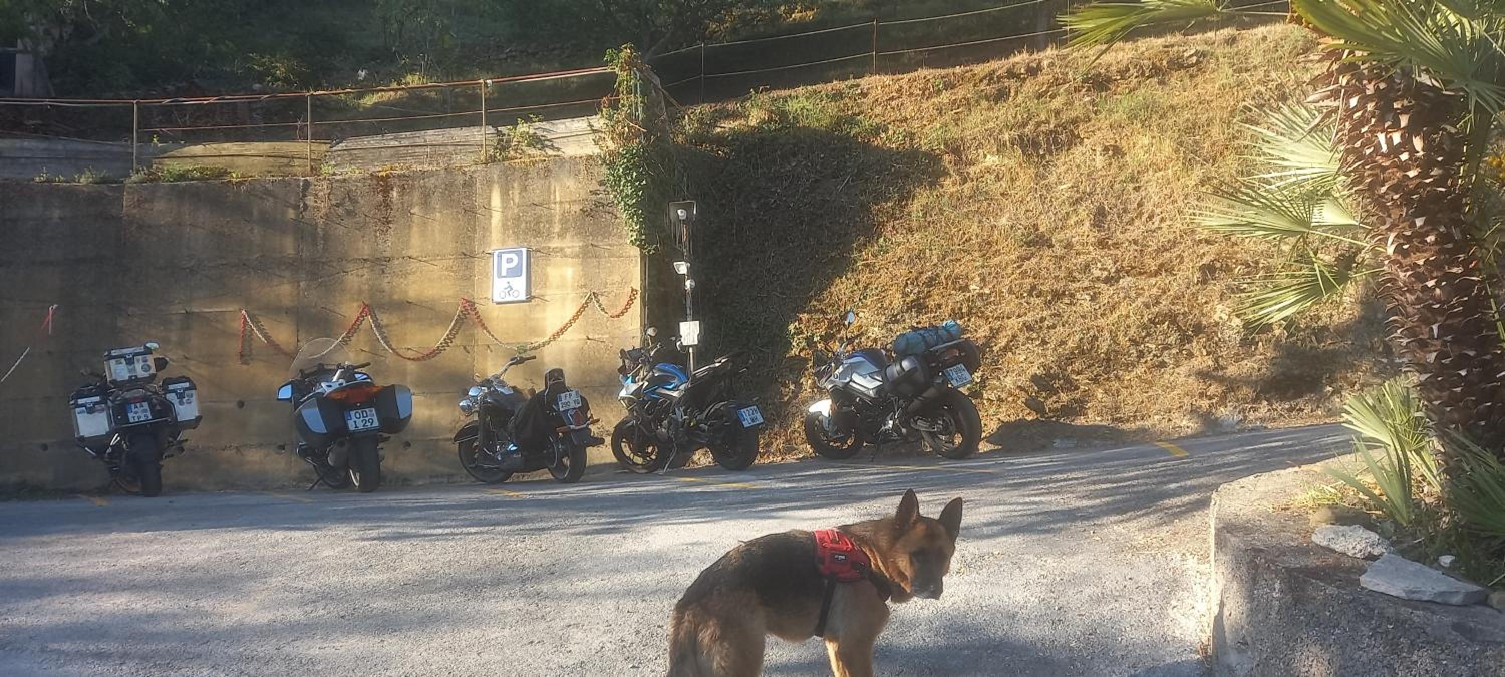 parking