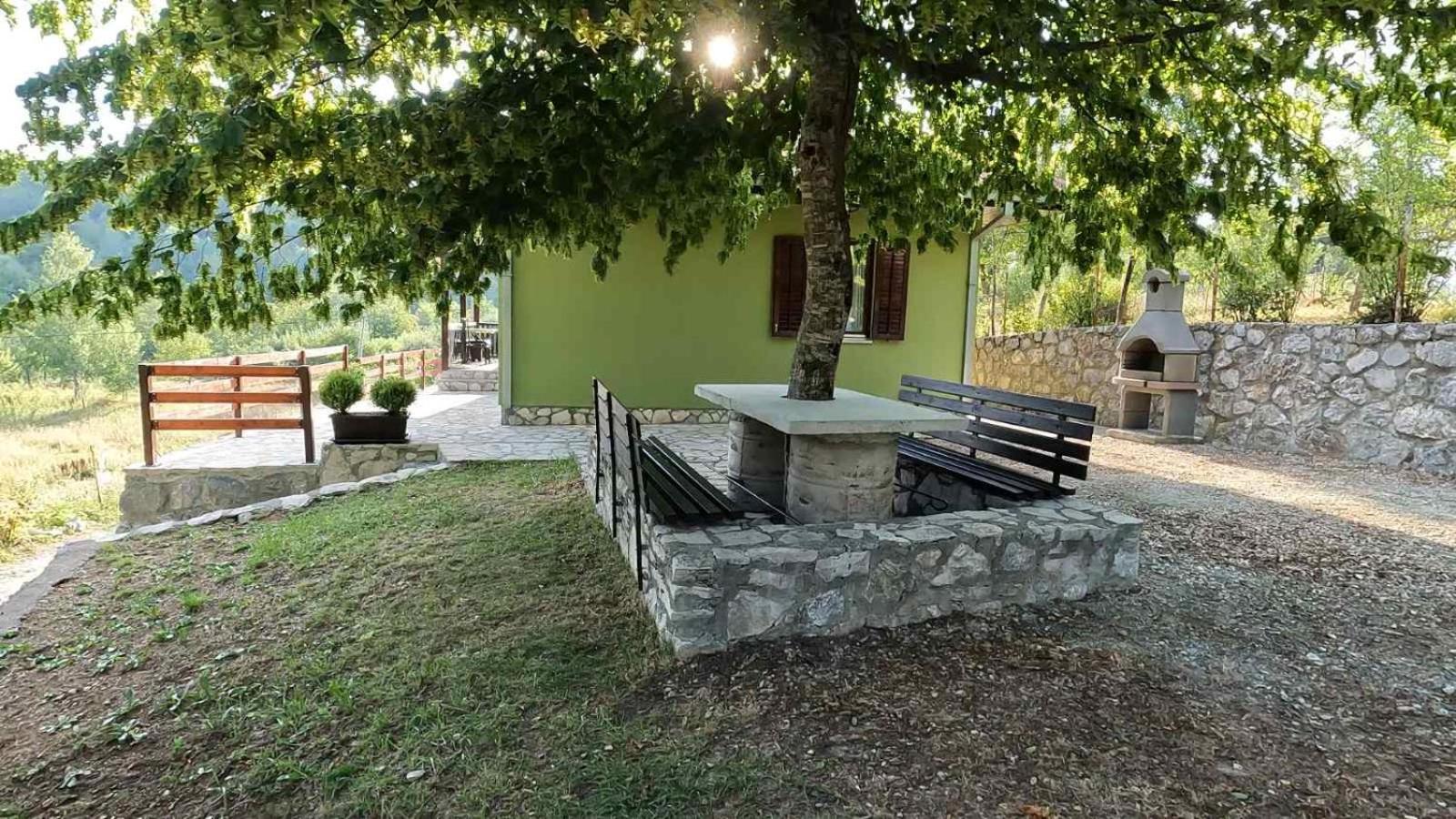 Photo 15