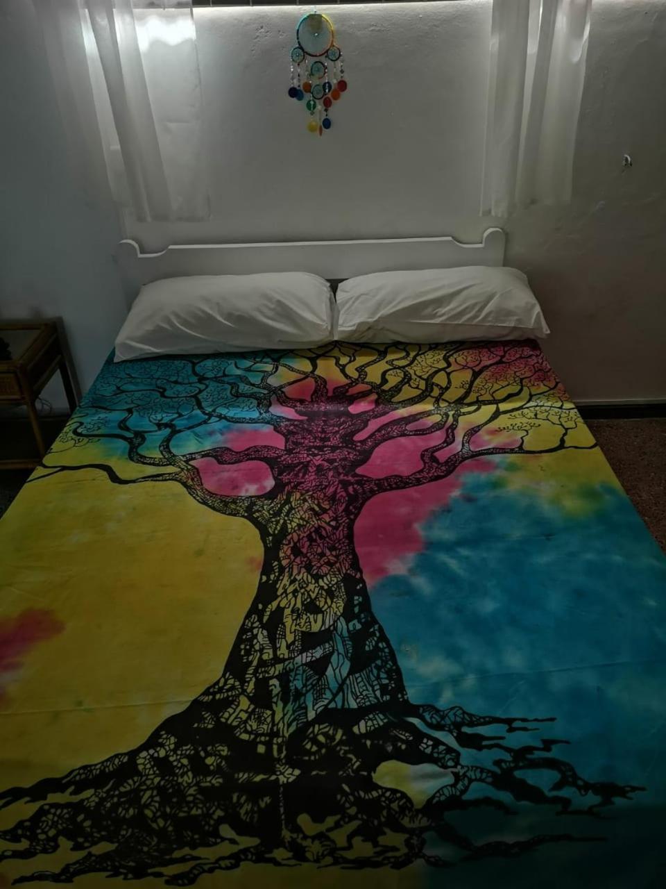 Photo 41