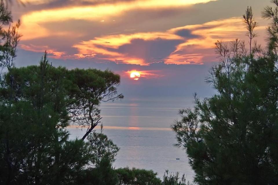 Poseidi - Villa Olivia view 3