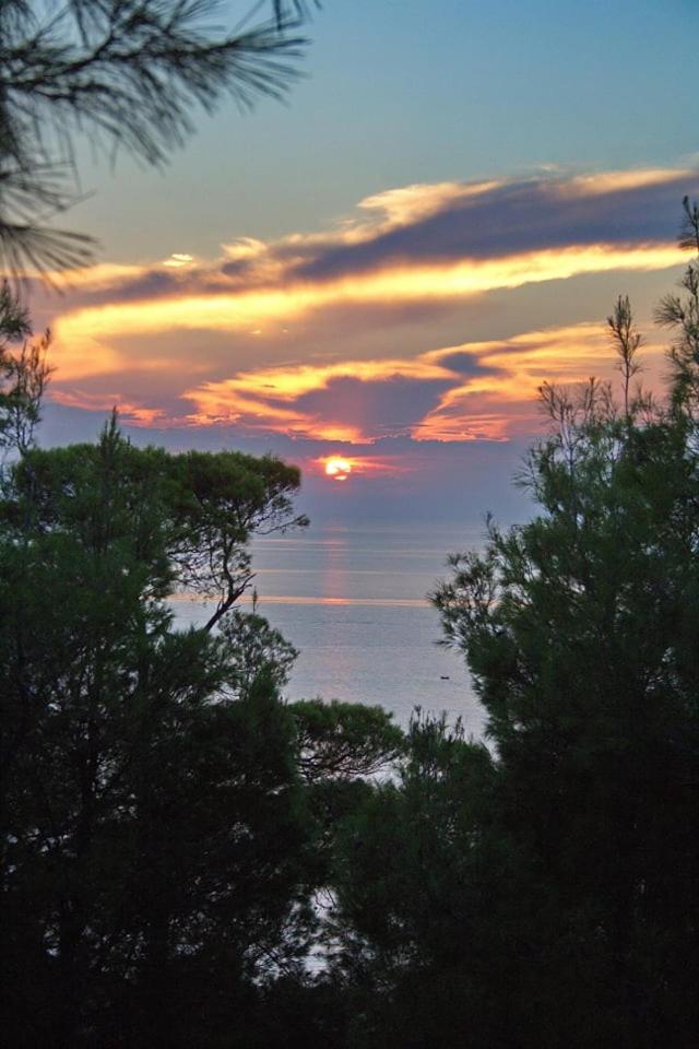 Poseidi - Villa Olivia view 4