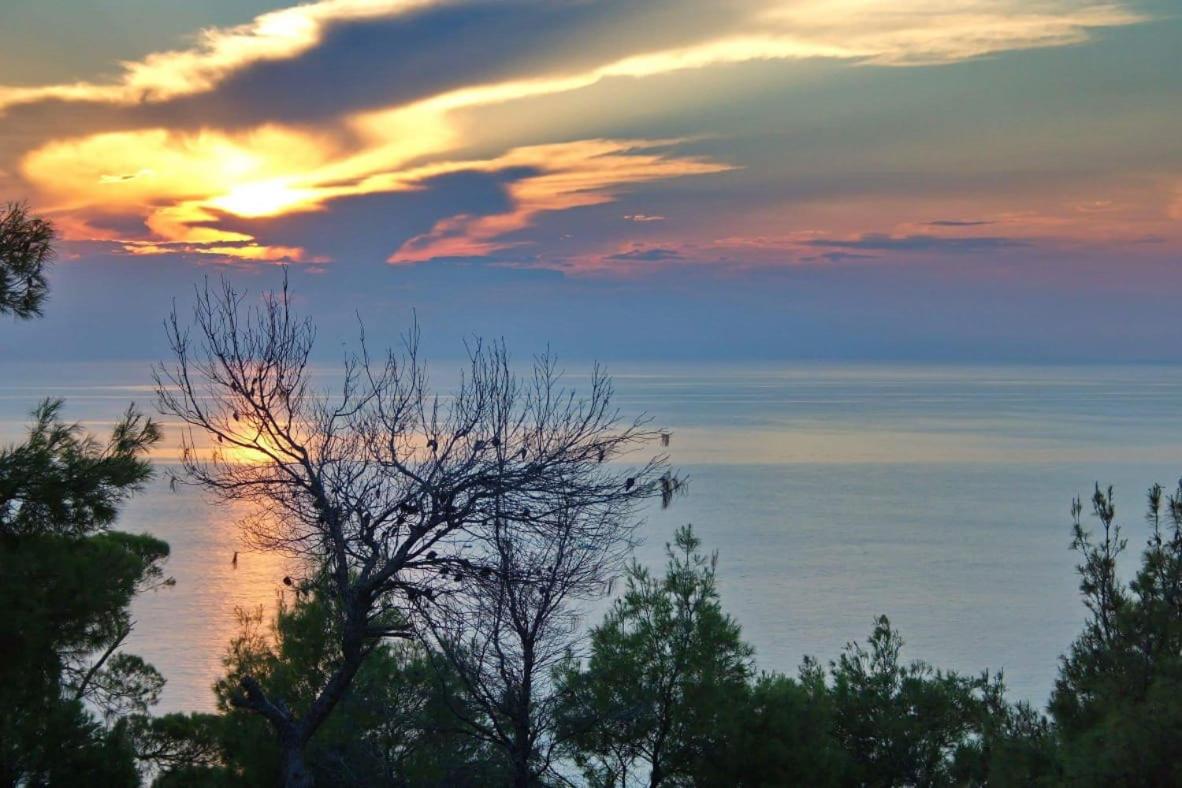 Poseidi - Villa Olivia view 5