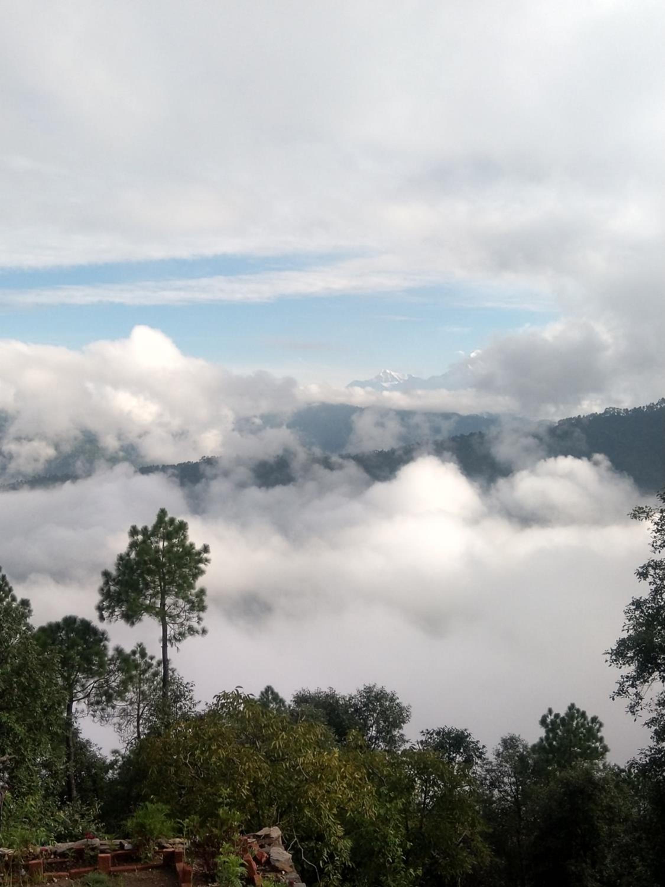 Sharda Stay's Binsar Himalayas view 3