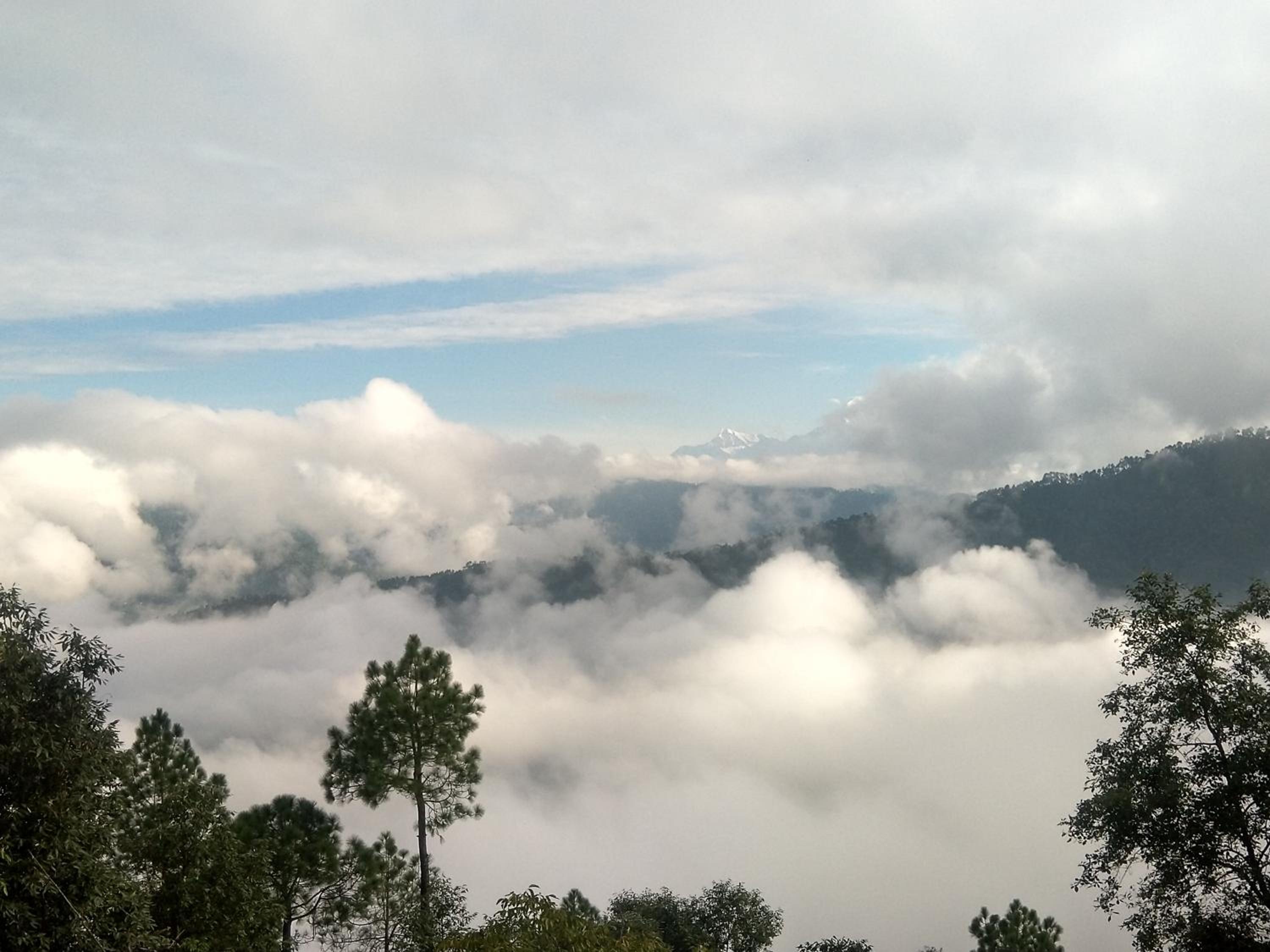 Sharda Stay's Binsar Himalayas view 4