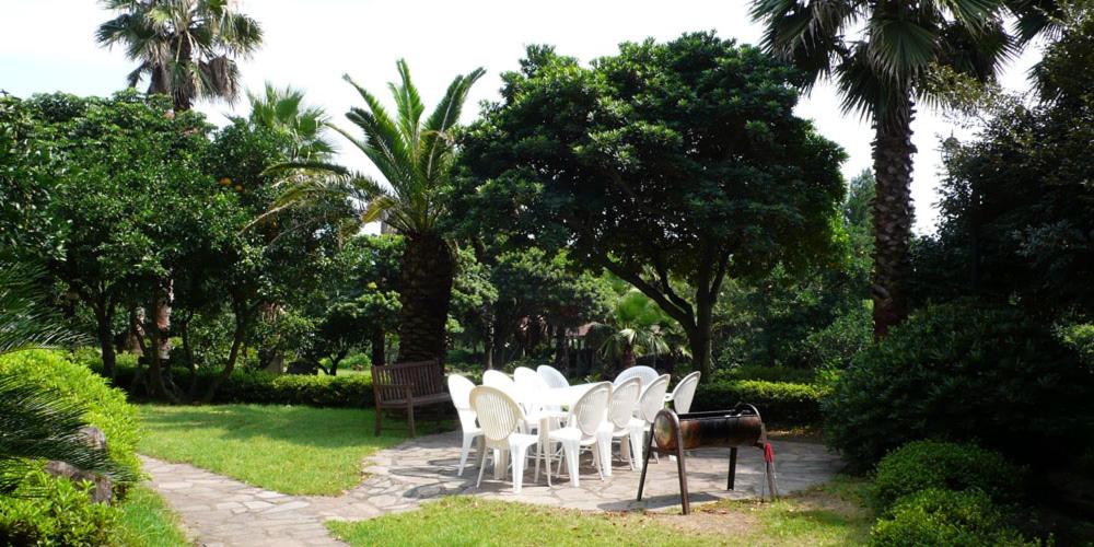 outdoor BBQ area