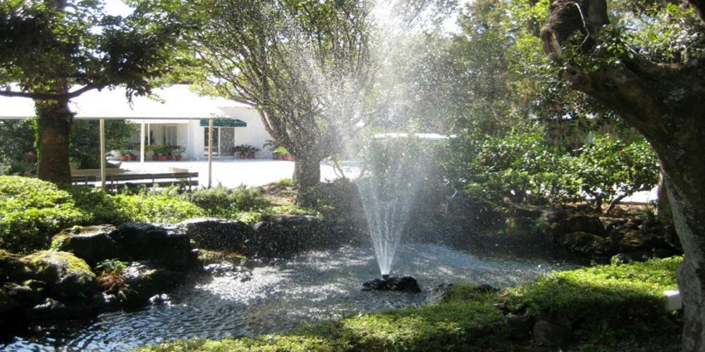 garden