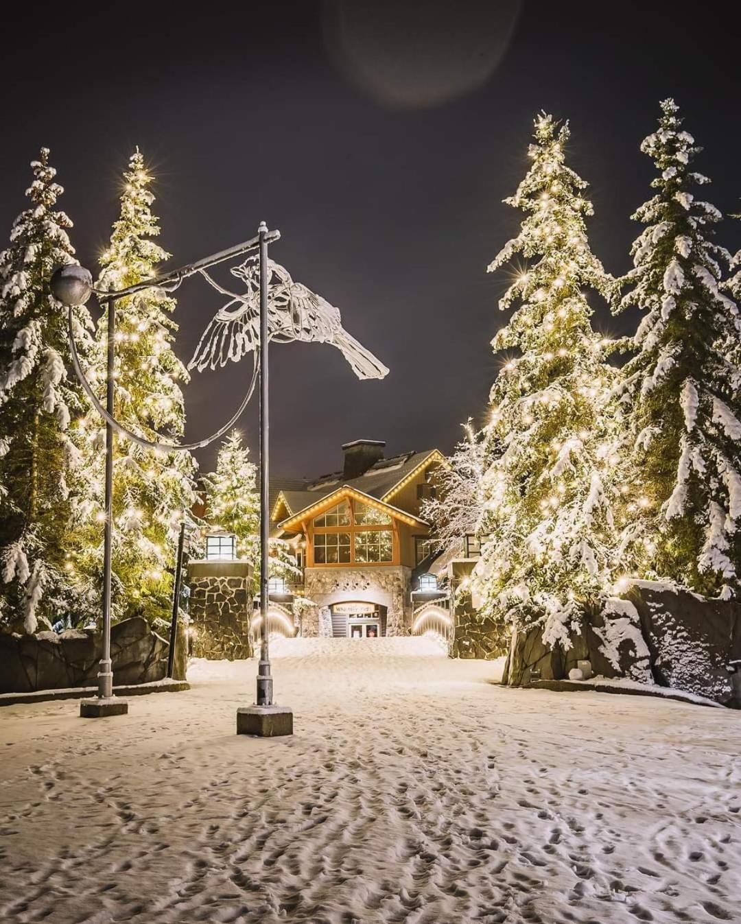 Cozy 1BR Walk to Gondola, Sleep 4, Free Parking