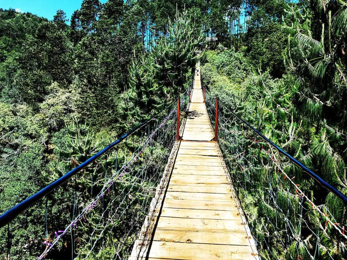 Cabaña para pareja en el bosque IA