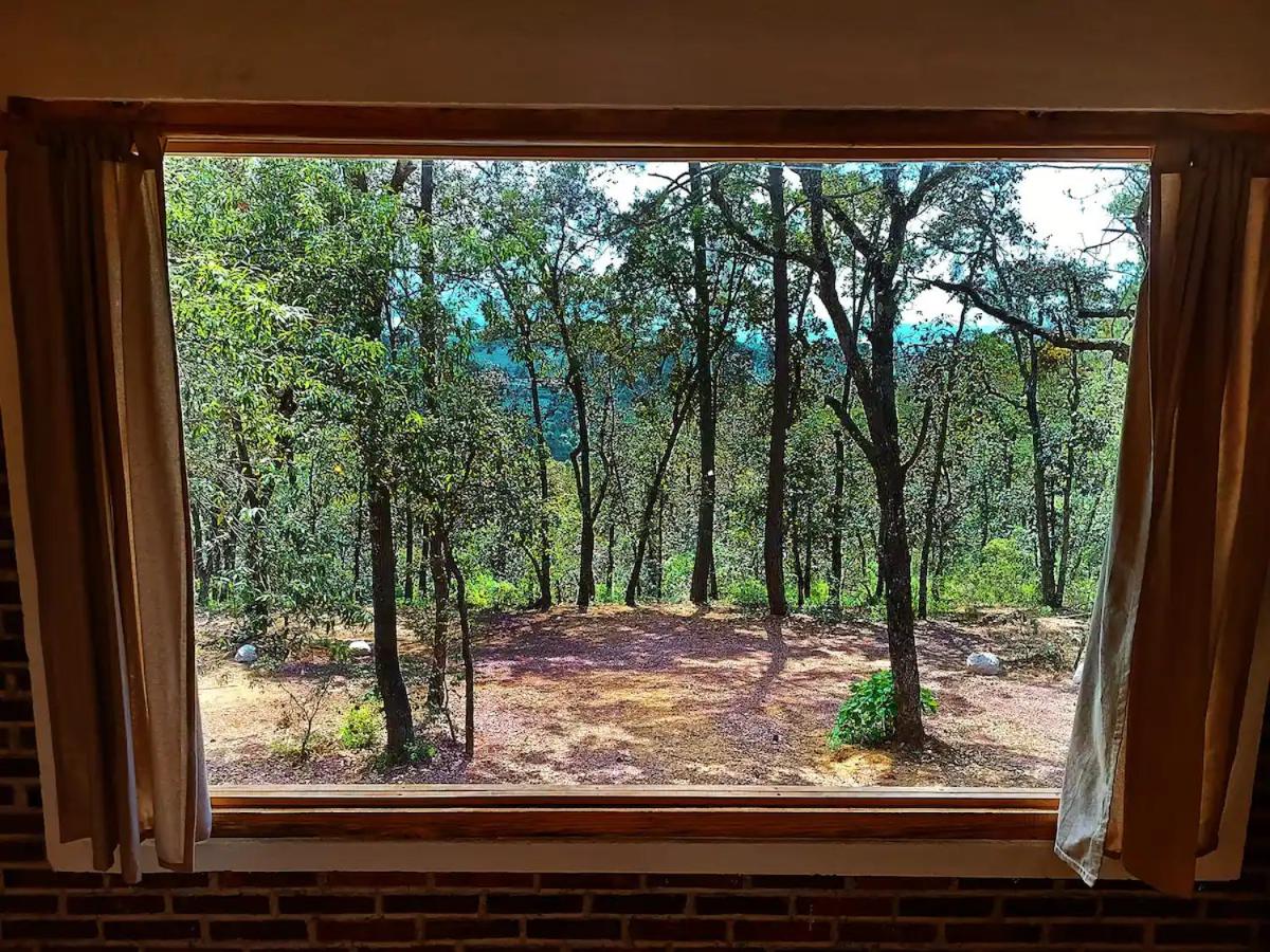 Cabaña para pareja en el bosque IA