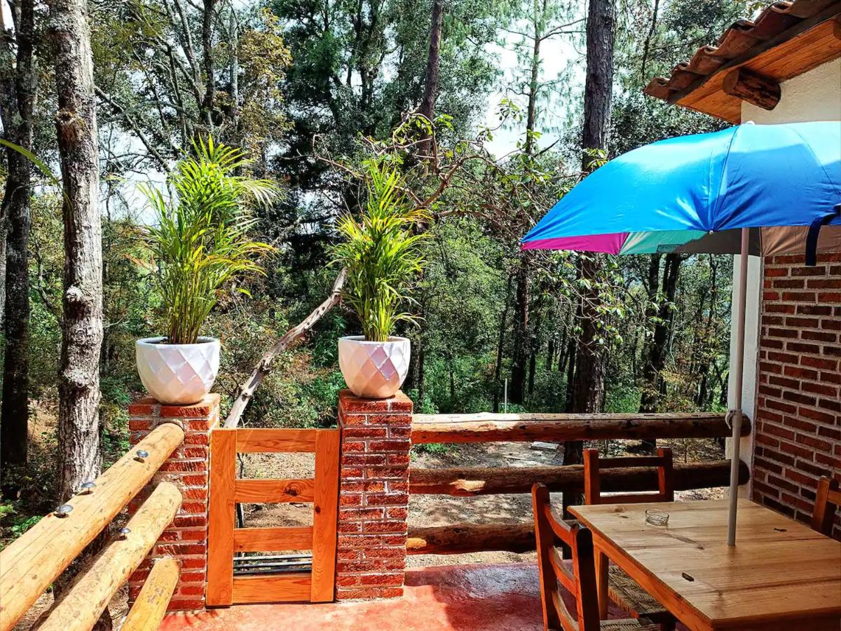 Cabaña para pareja en el bosque IA