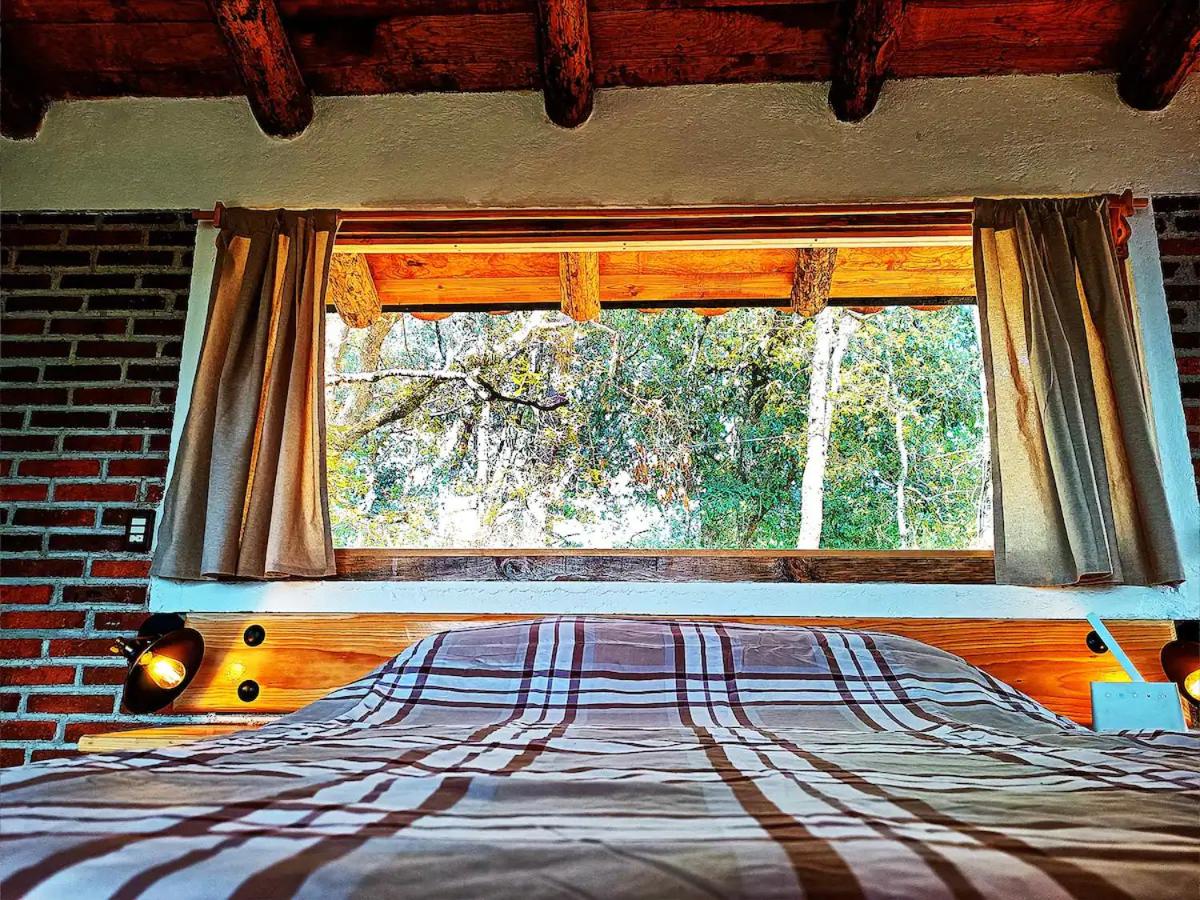 Cabaña para pareja en el bosque IA