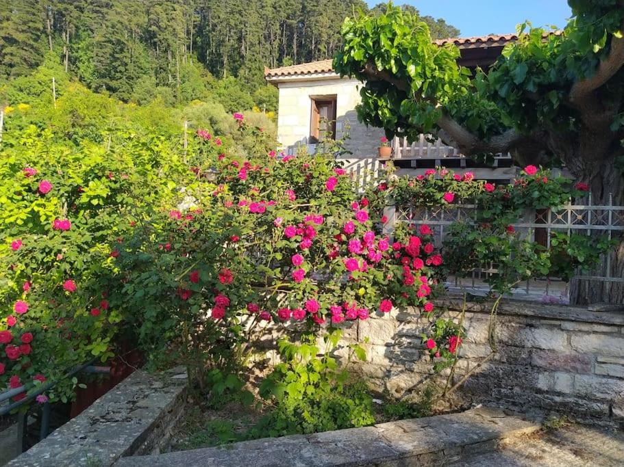 Beautiful stone house! view 4