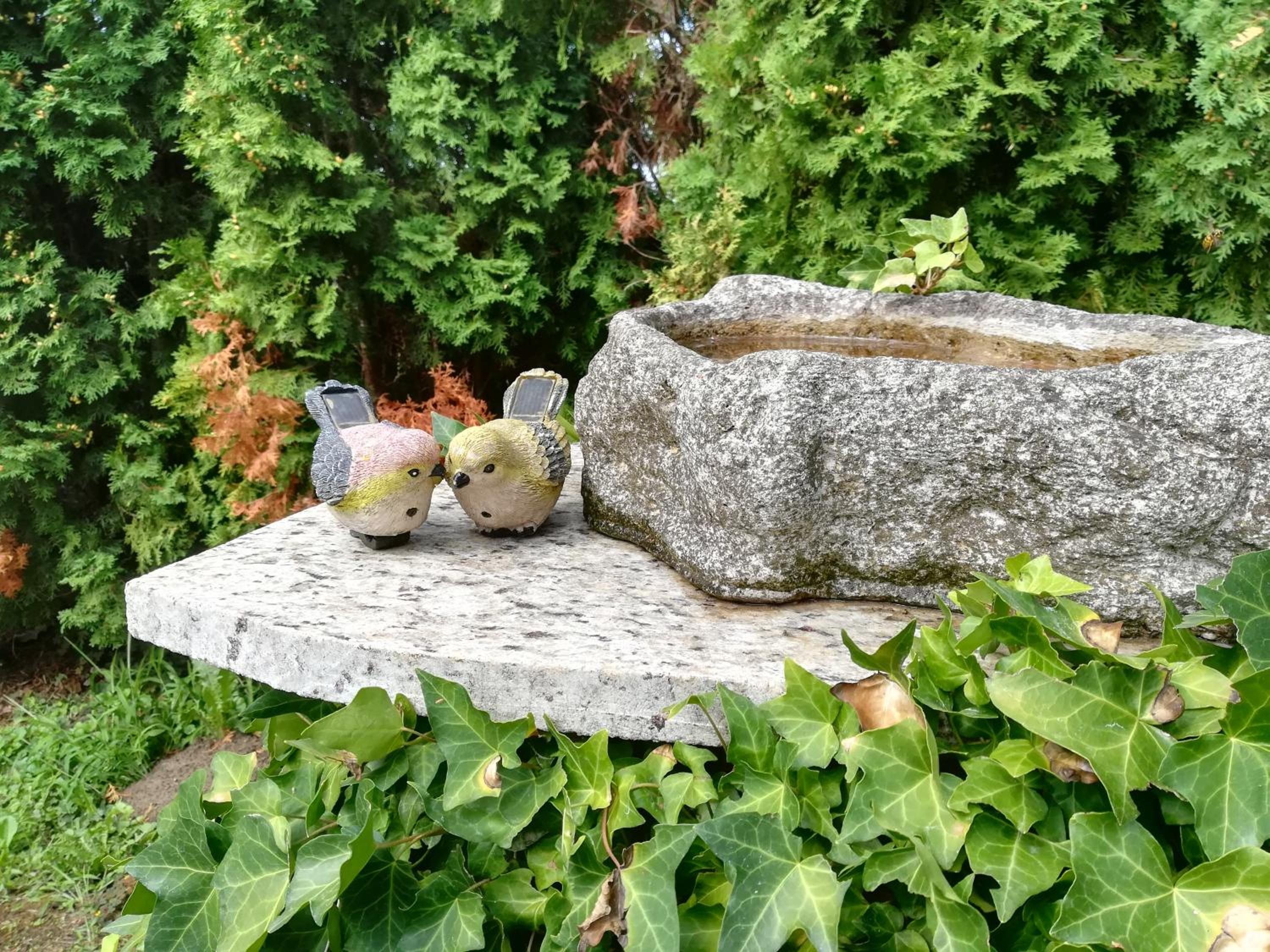 Photo 19