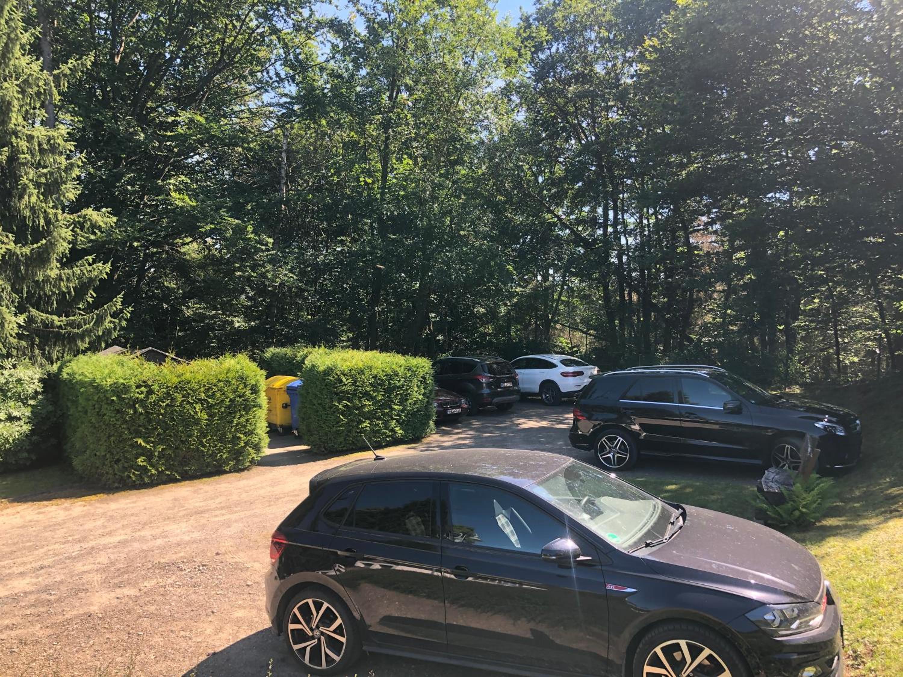 Ferienwohnung Katzenstein im Harz