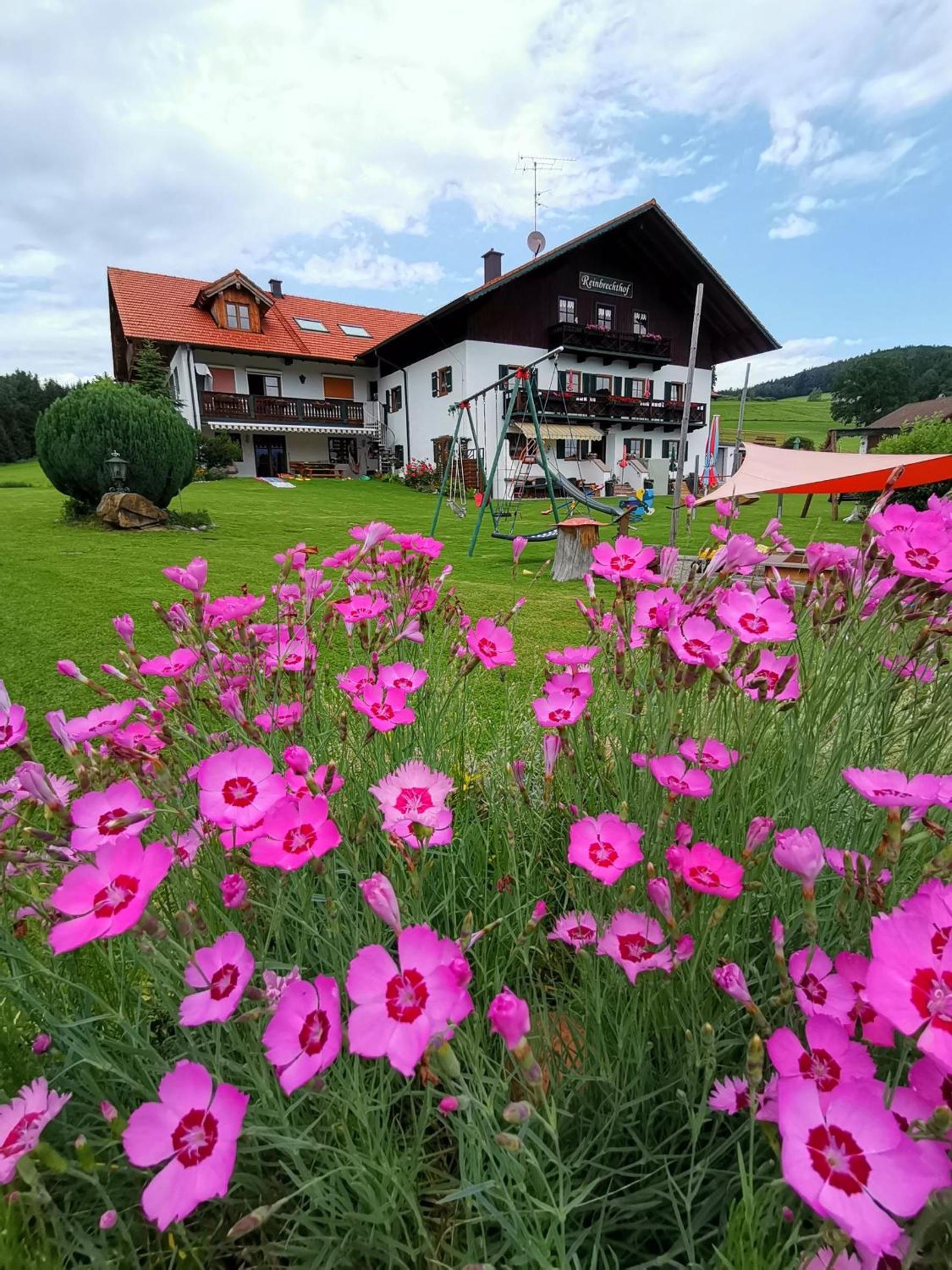 Ferienwohnung Reinbrechthof