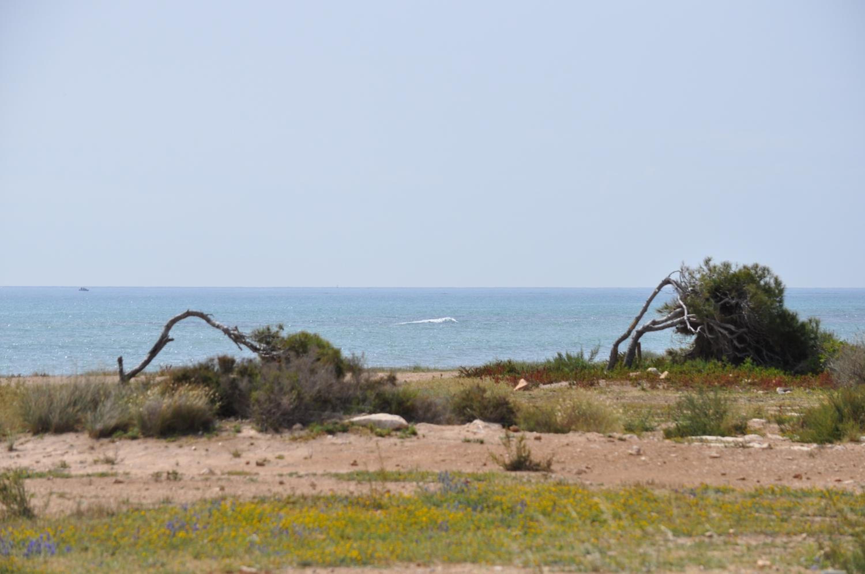 Photo 45