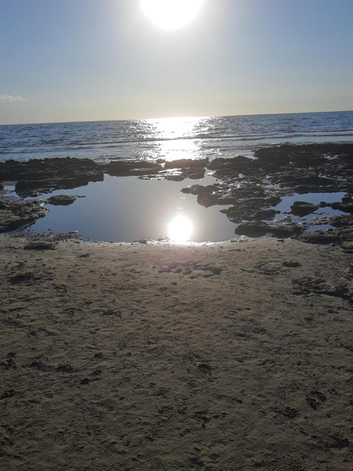 Photo 47