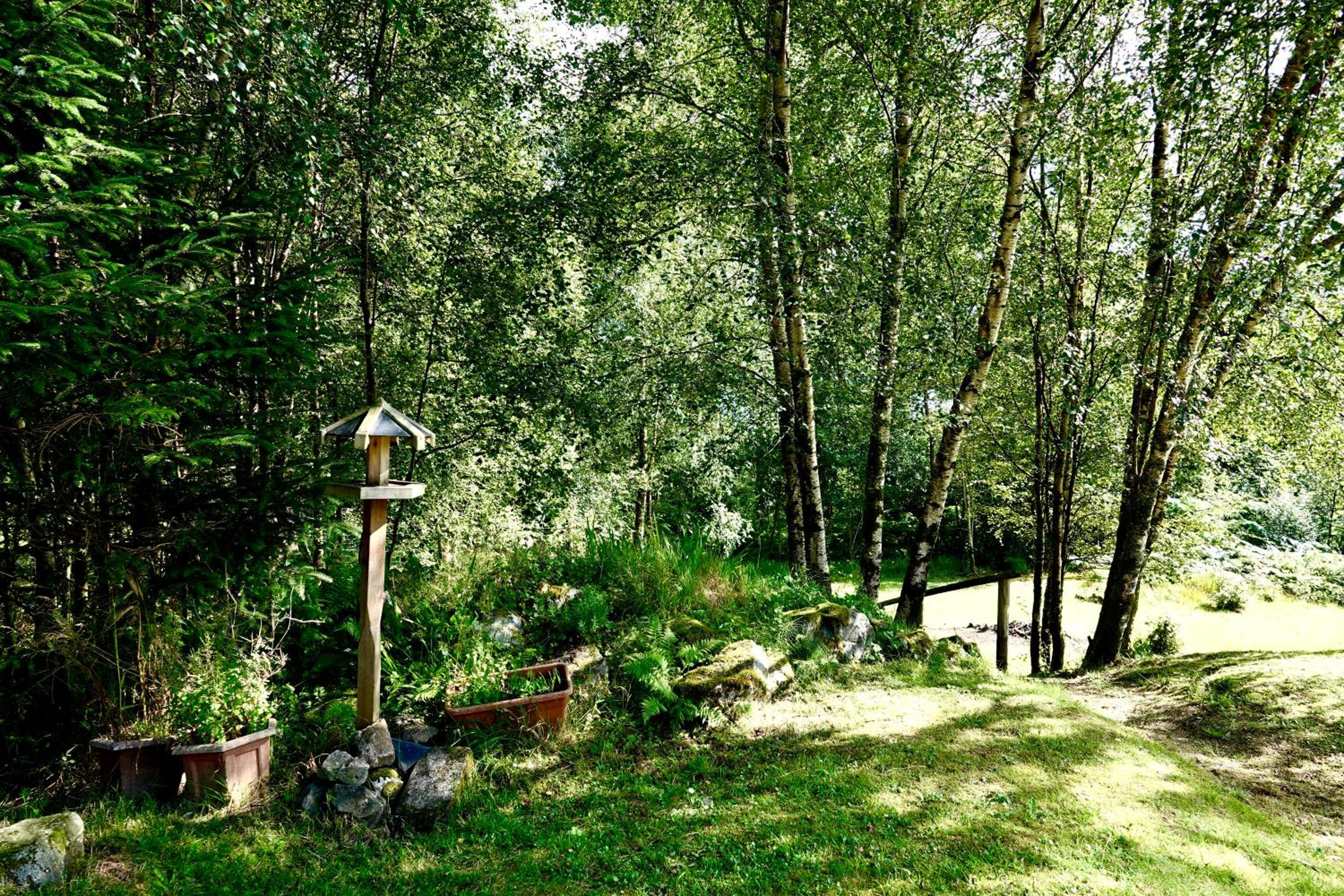 Photo 47