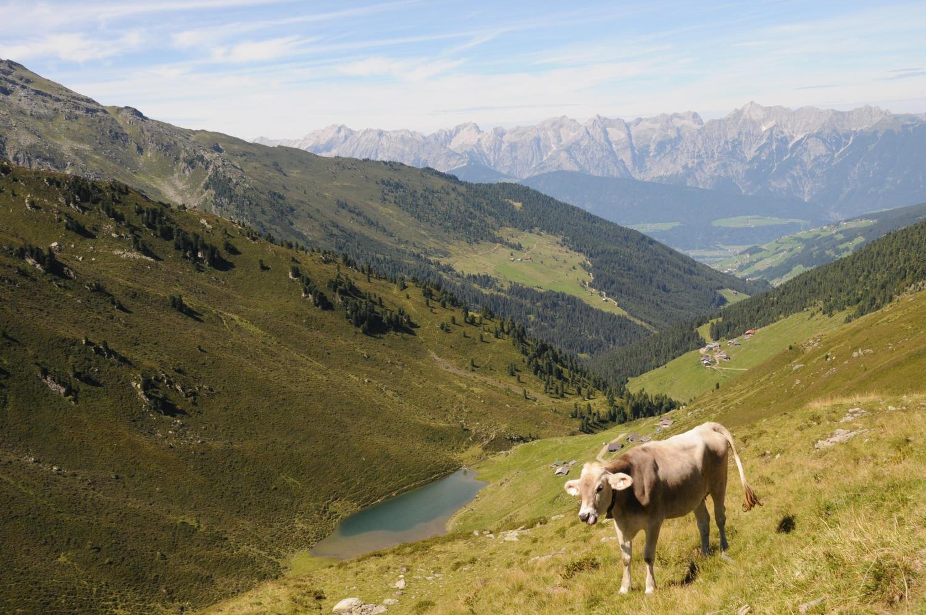 Ferienpension Steiner