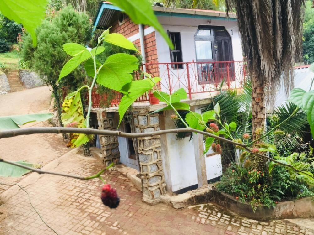 Steven and Dayness homestay view 4