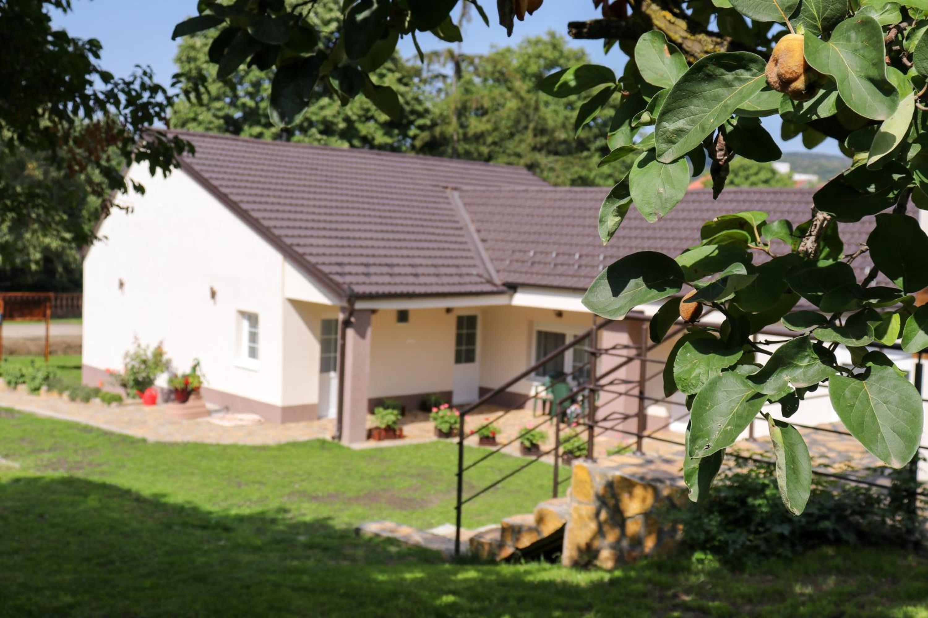 Photo 47