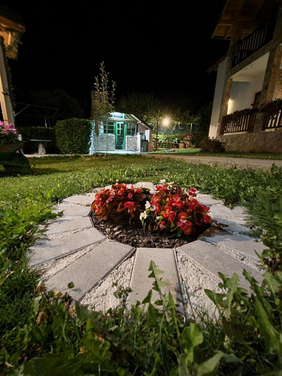 Photo 18