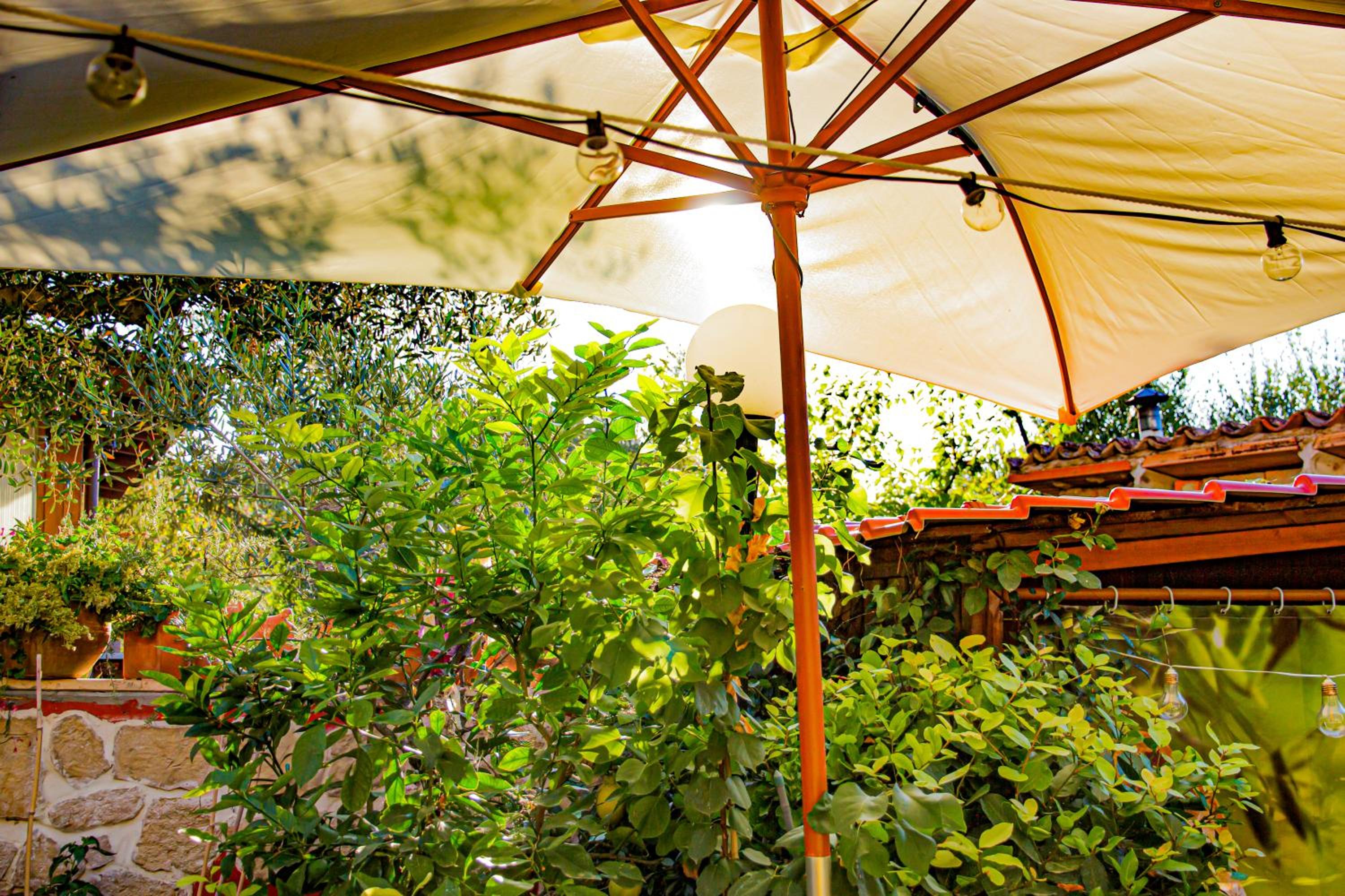 Eden Lilli B&B