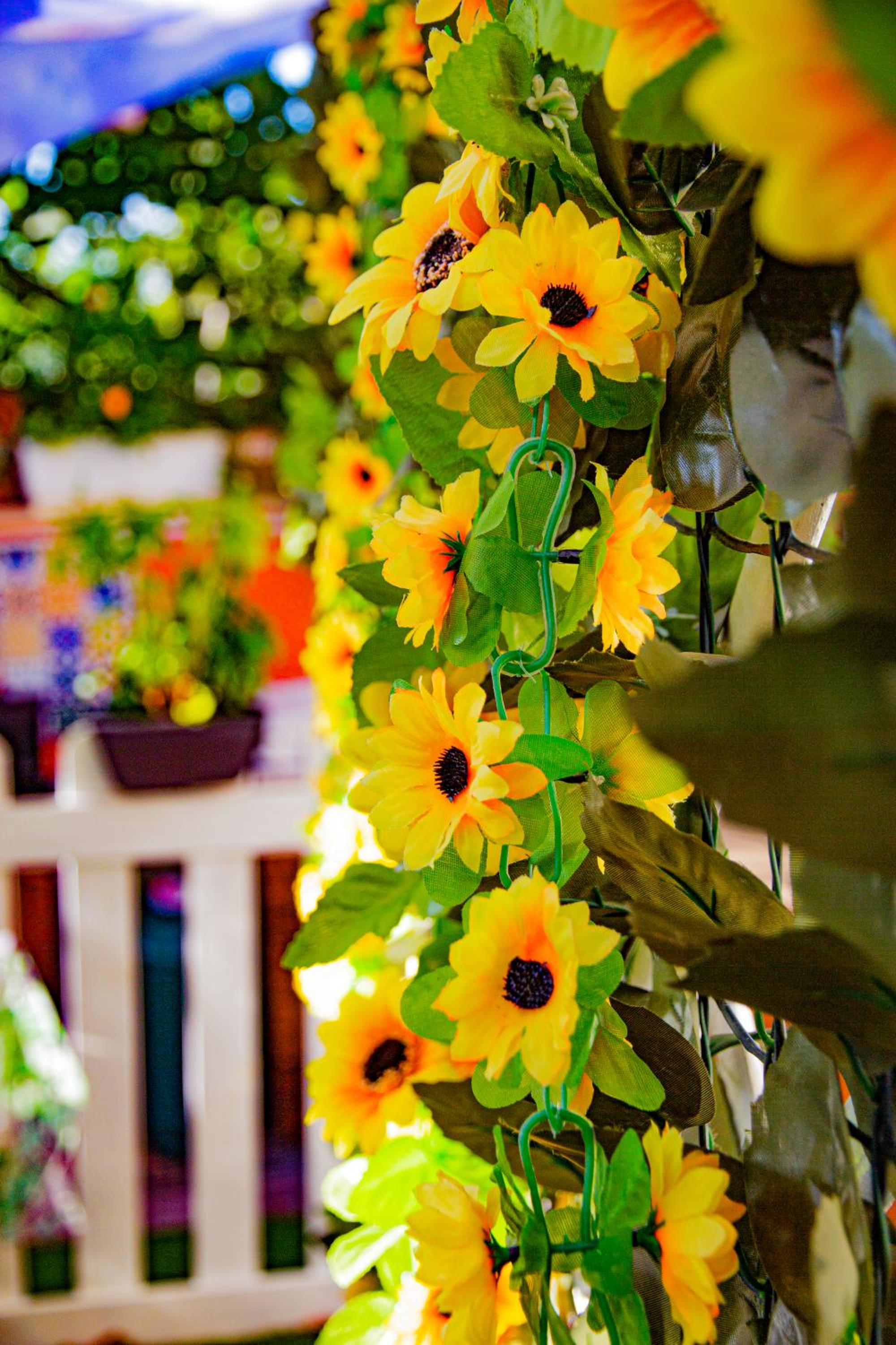 Eden Lilli B&B, photo 45