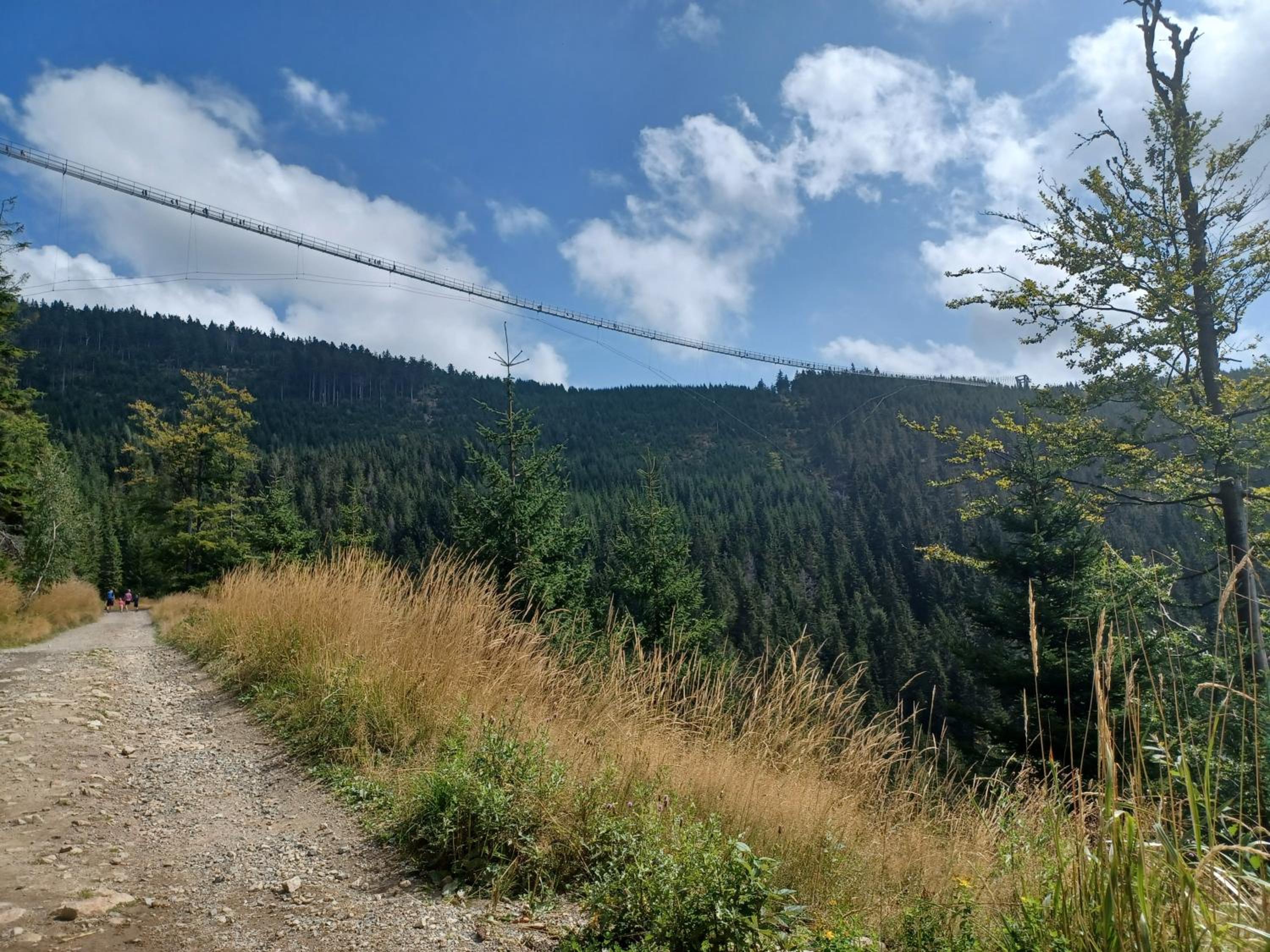 Apartmán Pod sjezdovkami