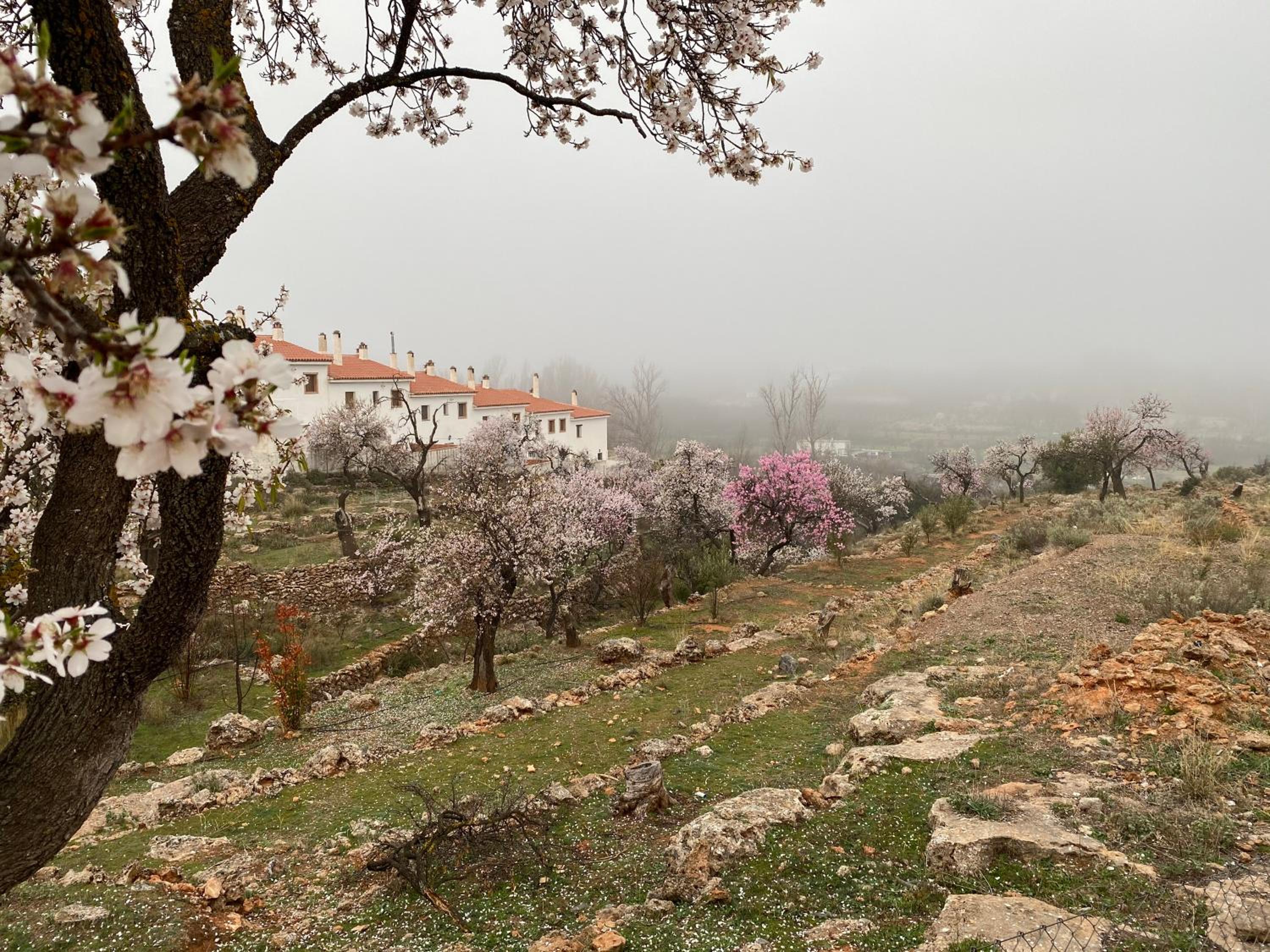 La casita del pueblo