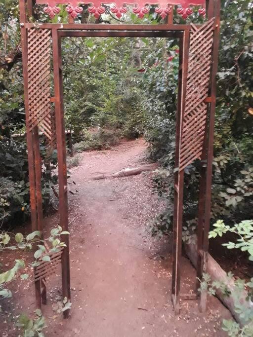 Carreta de cuento de hadas
