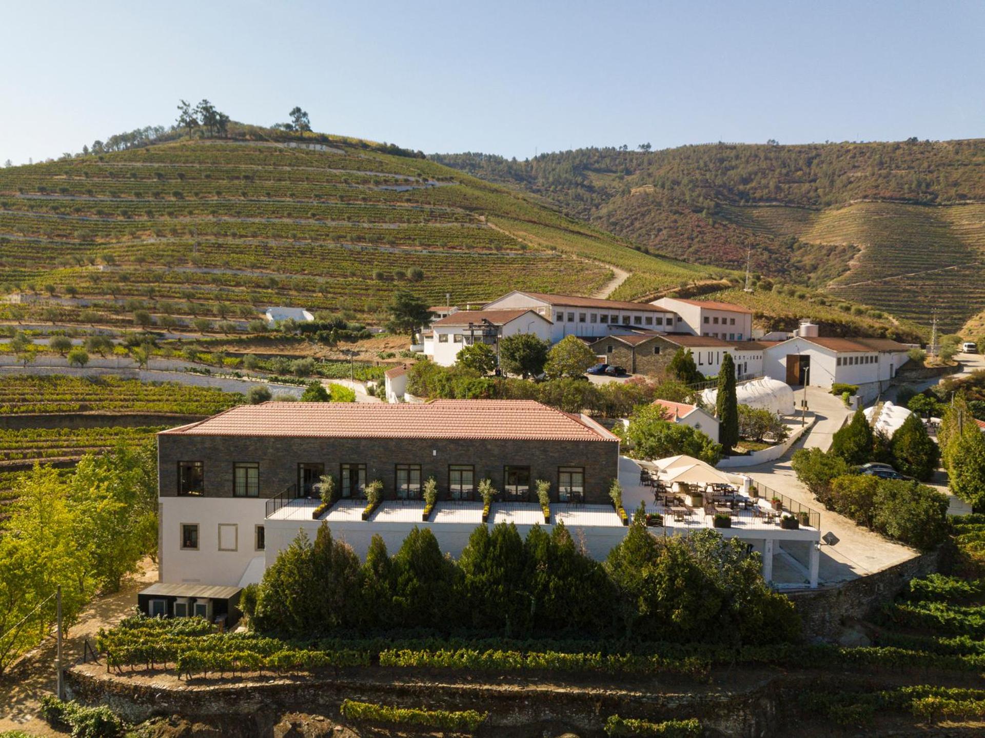 Quinta São Luiz The Vine House Douro view 3