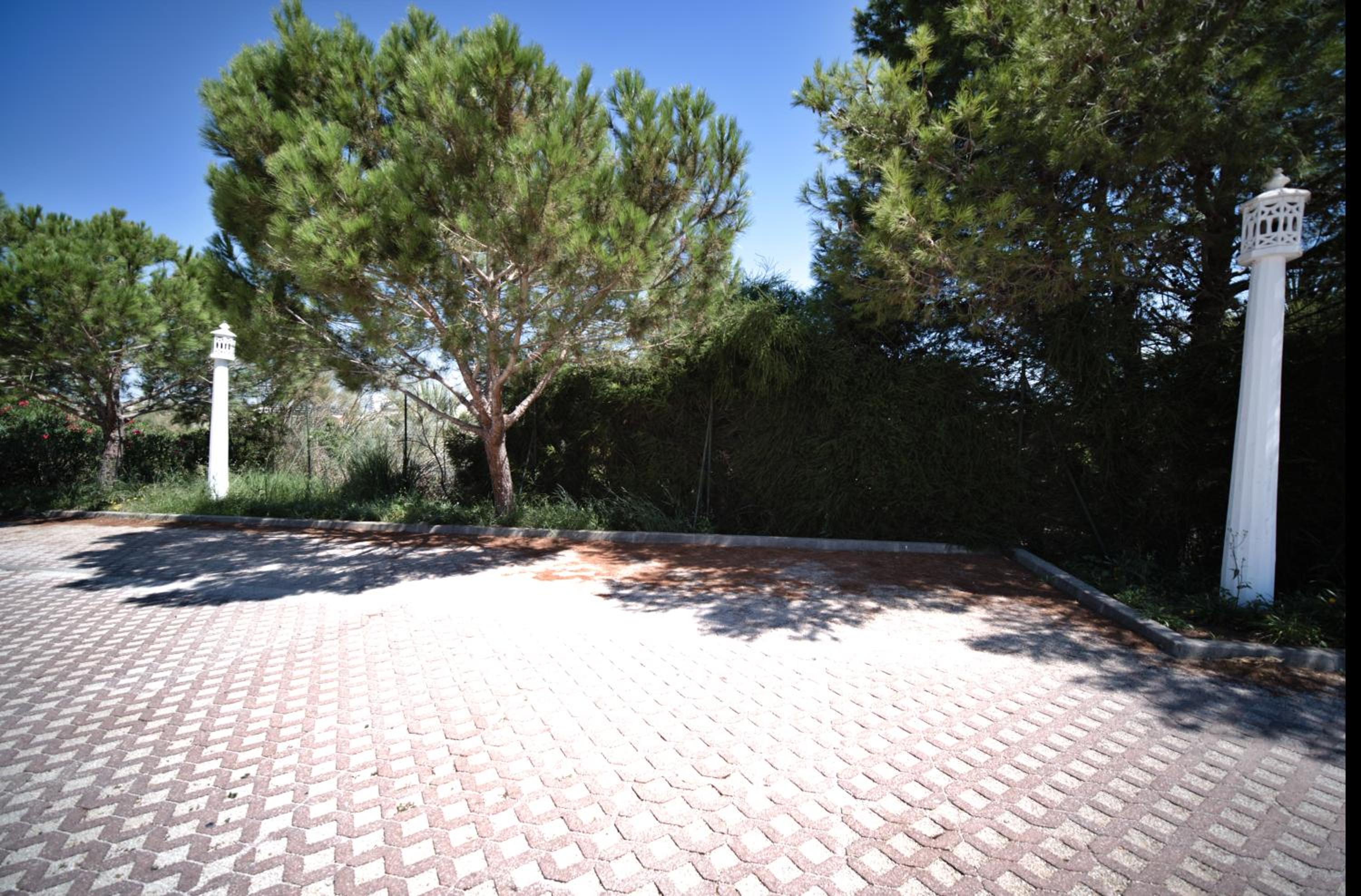 Photo 42