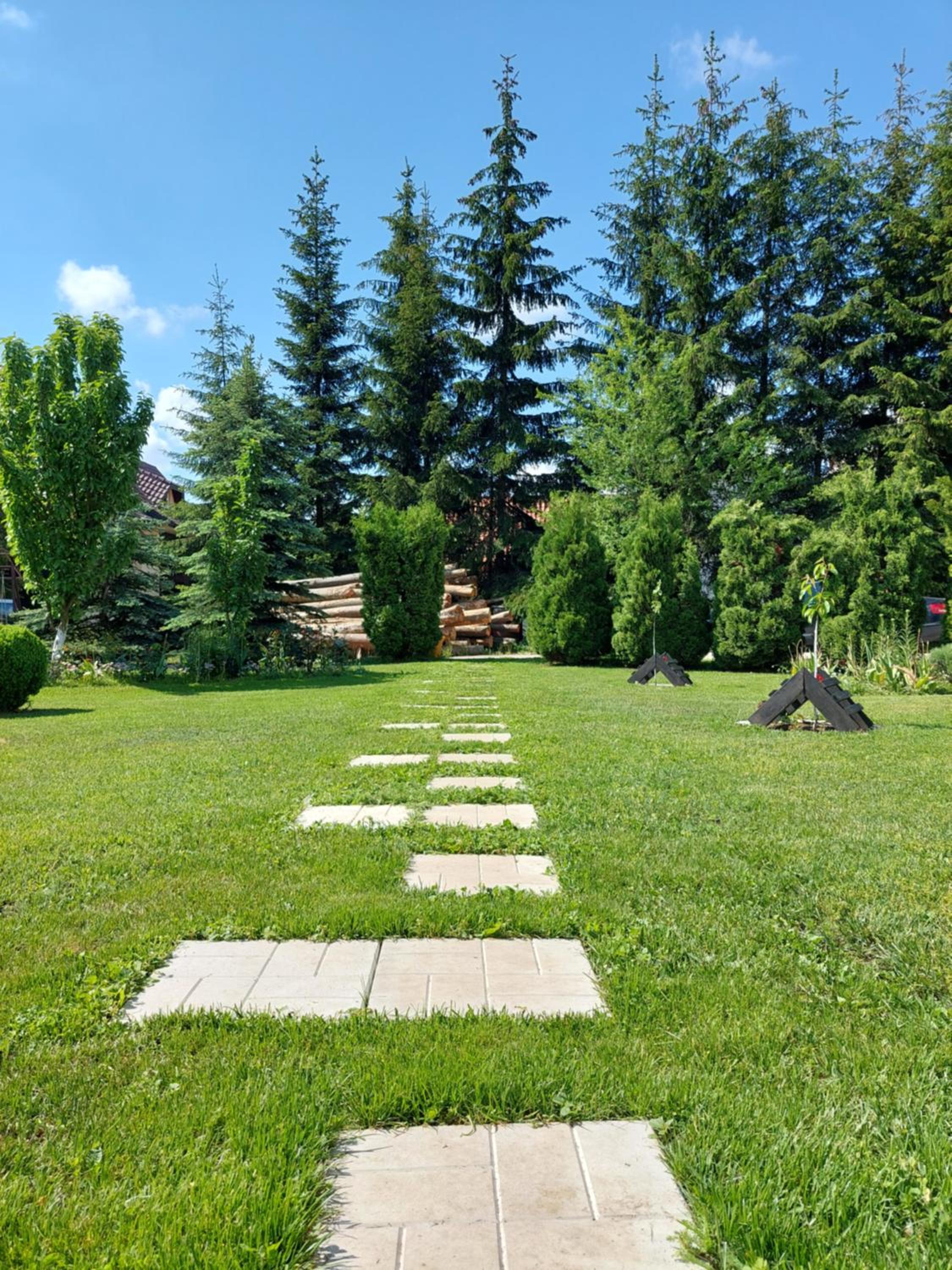 Photo 40