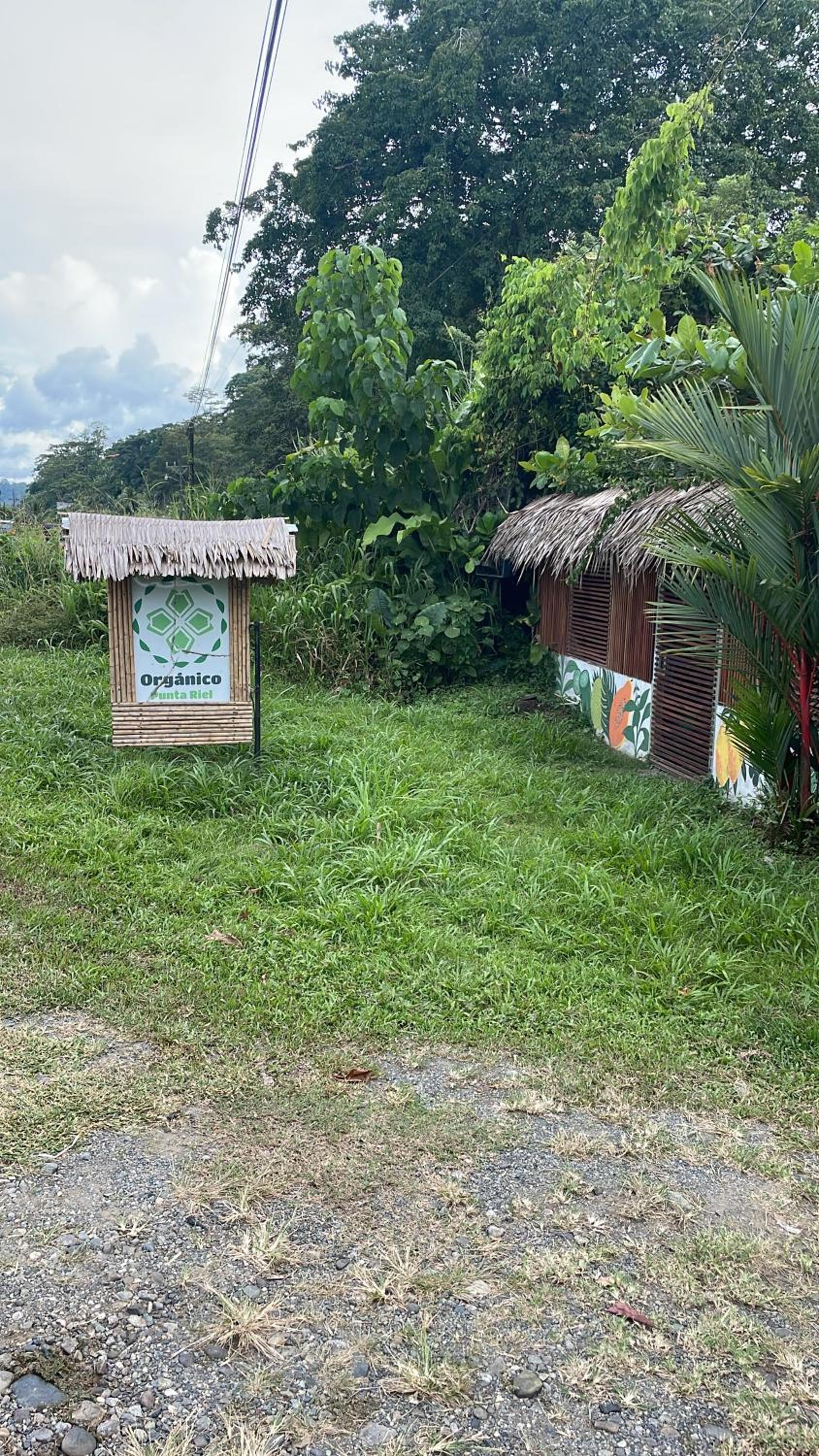 Orgánico Punta Riel