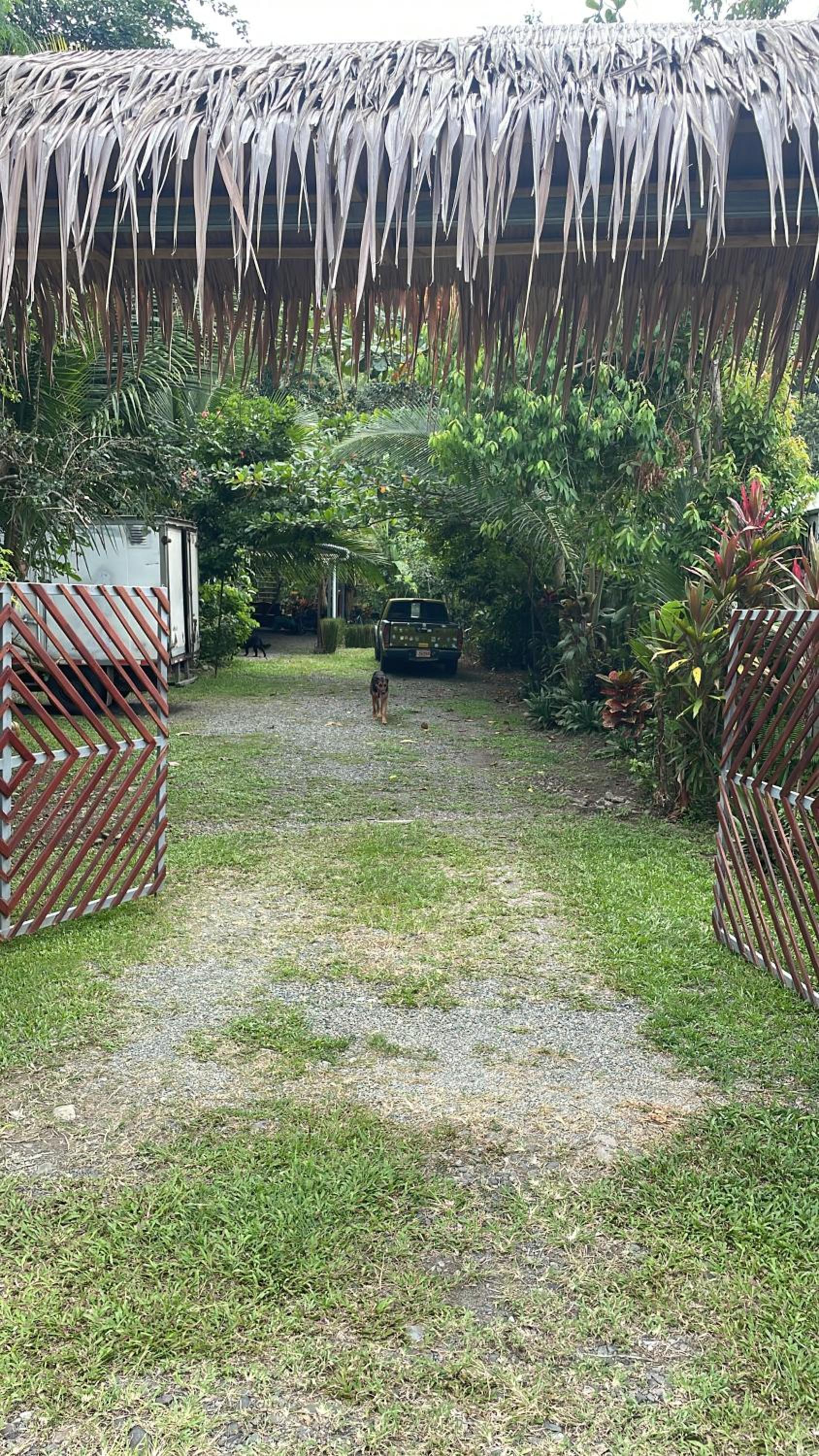 Orgánico Punta Riel