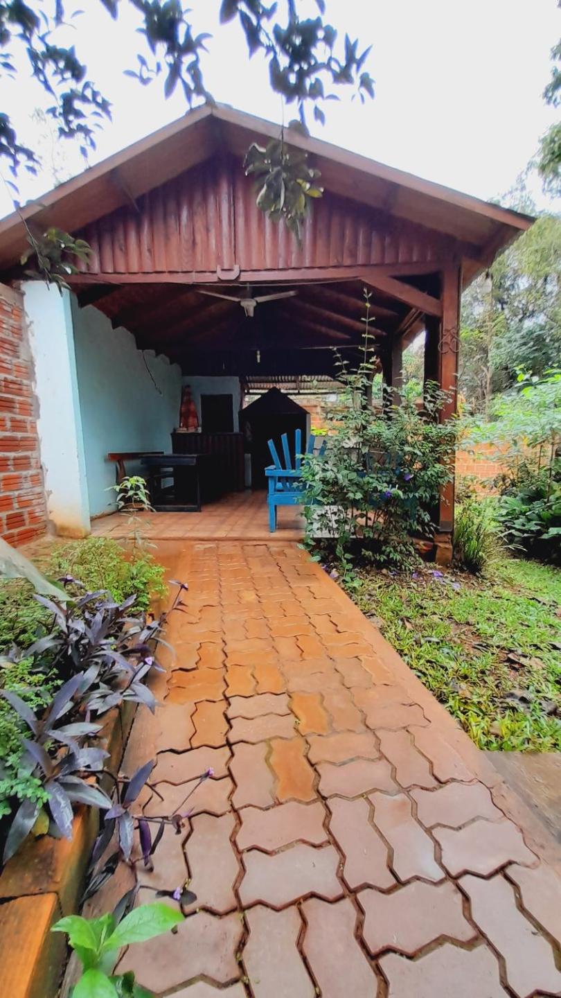 Voces De La Selva Misionera