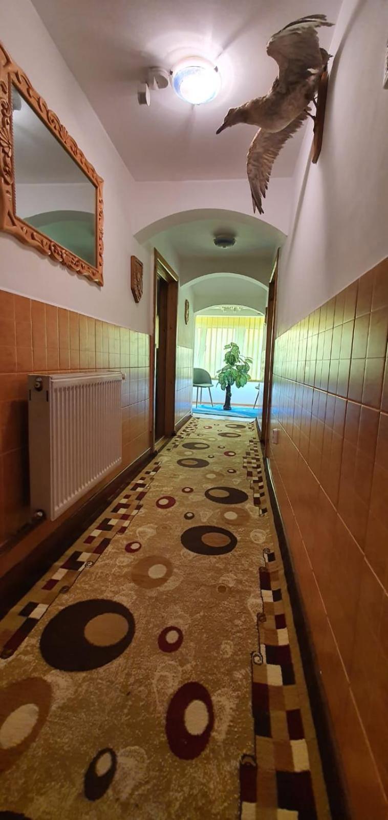 Casa Cristian view 5