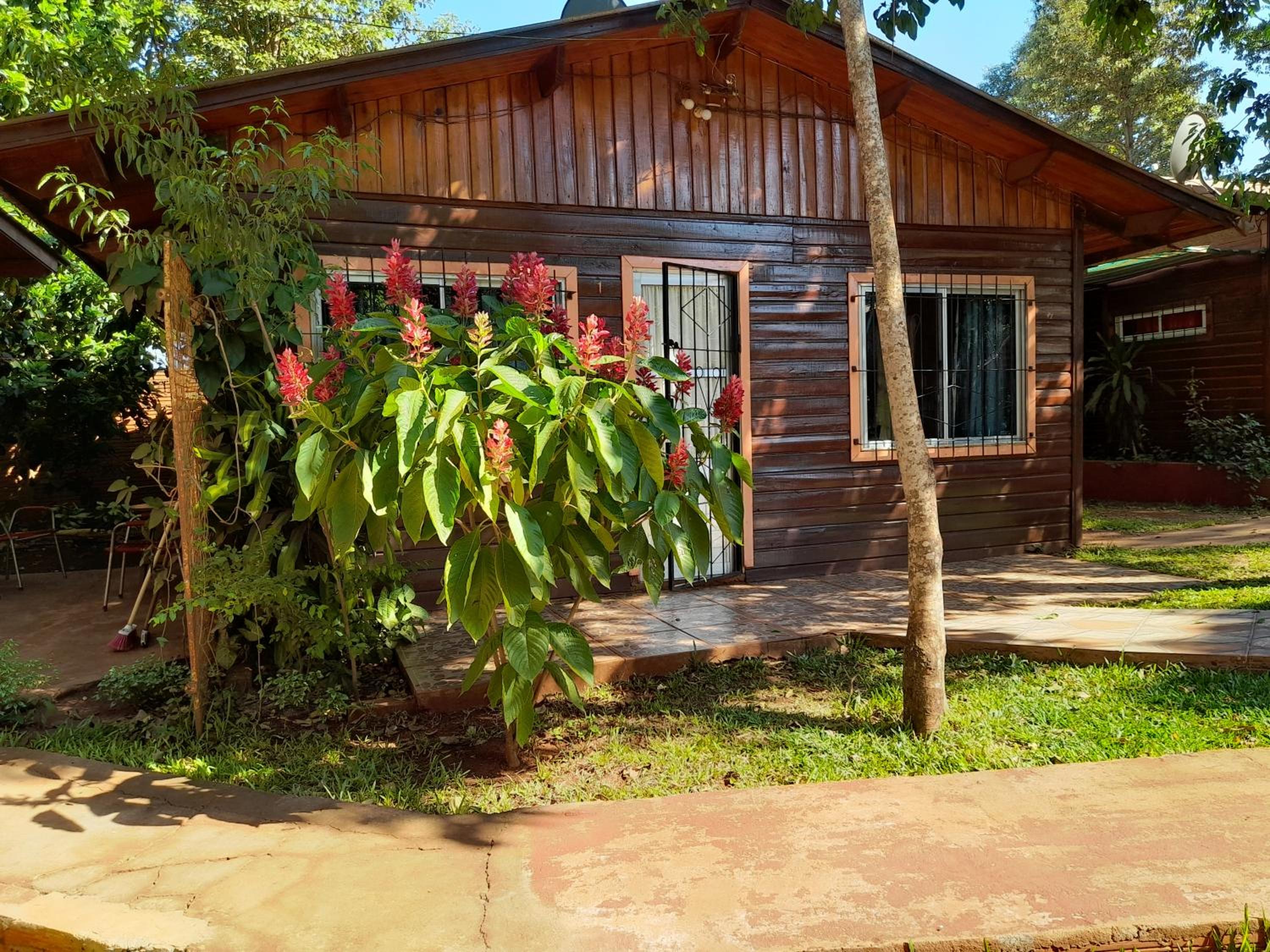 Voces De La Selva Misionera